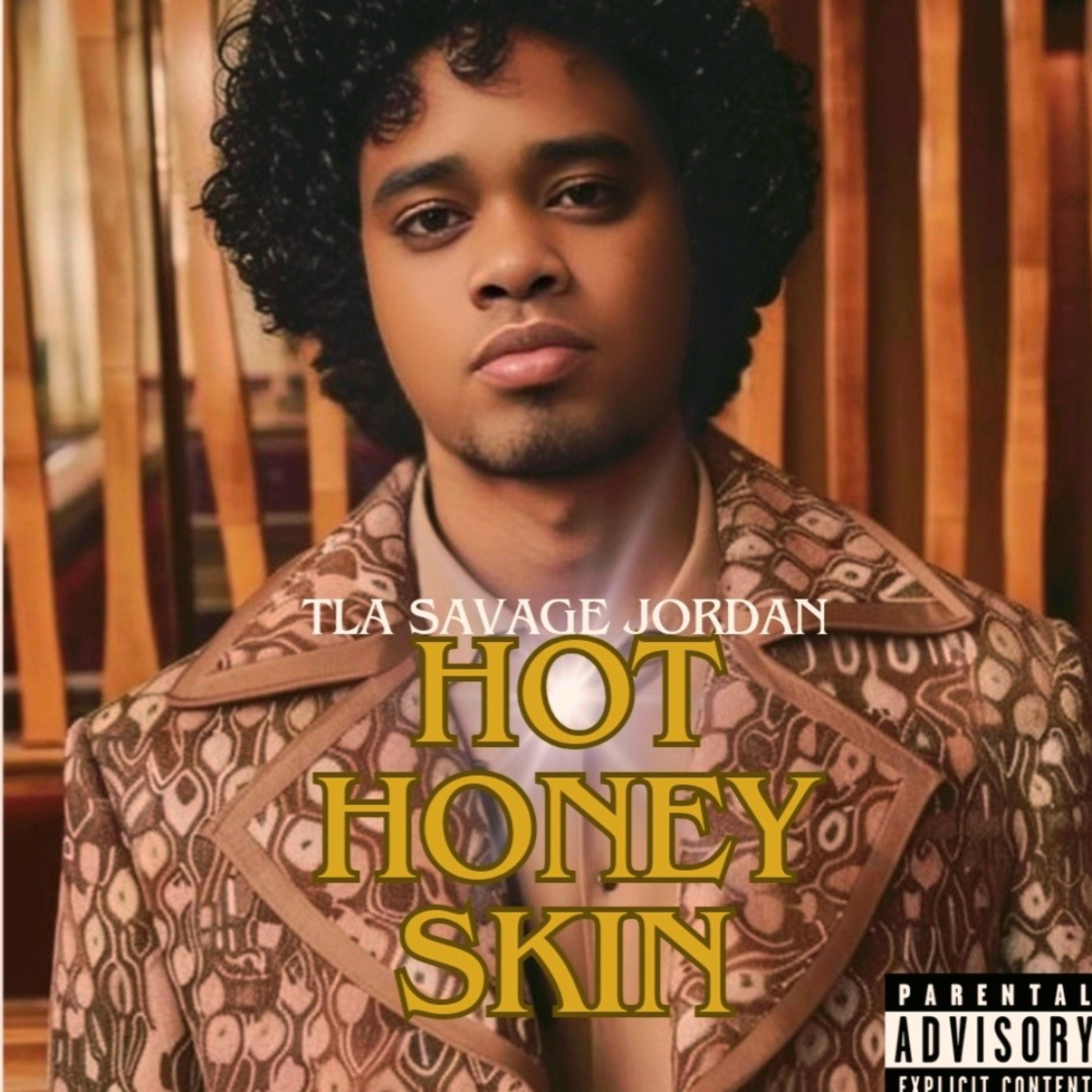 Hot Honey Skin by T.l.a Savage Jordan cover art
