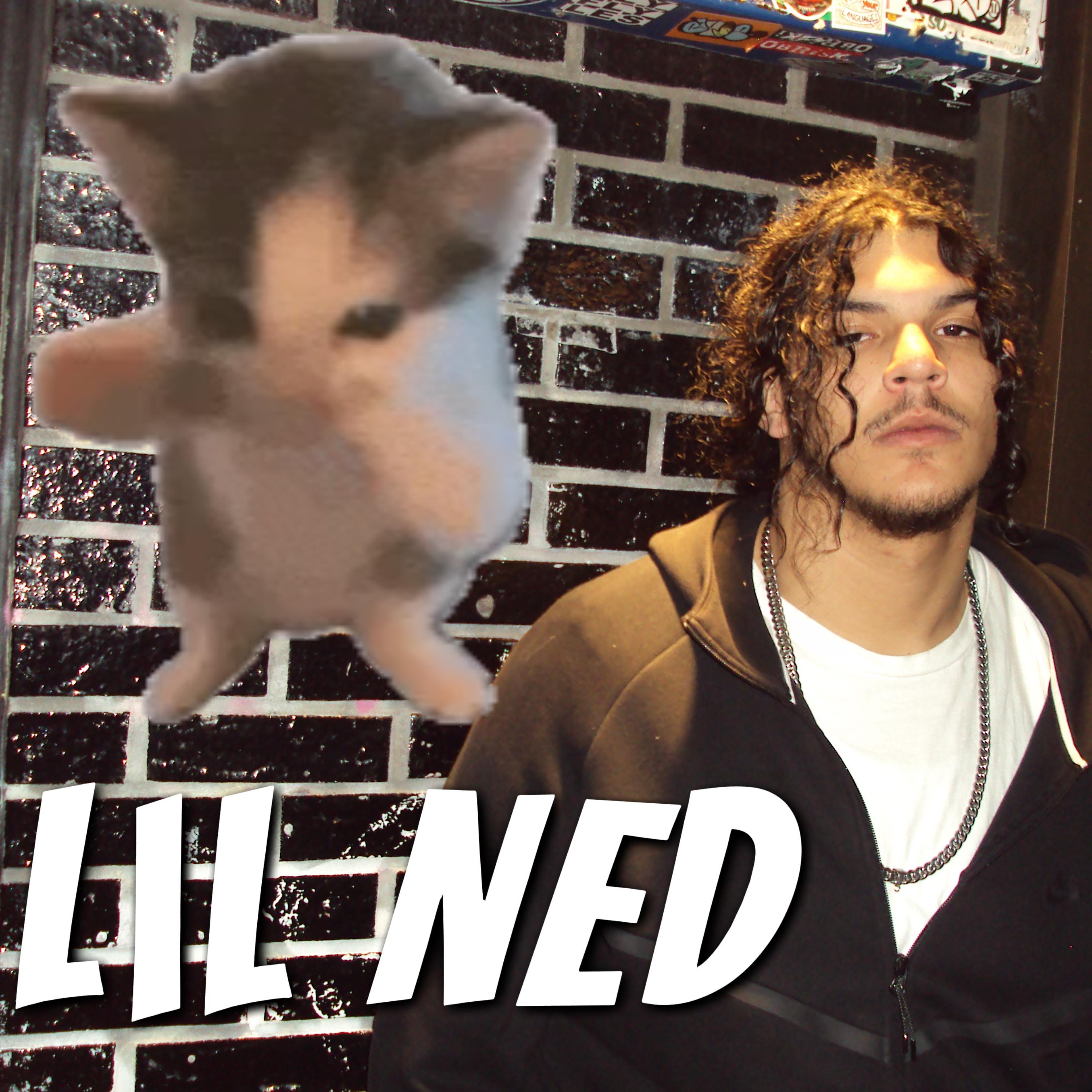 Have My Back by Lil Ned cover art