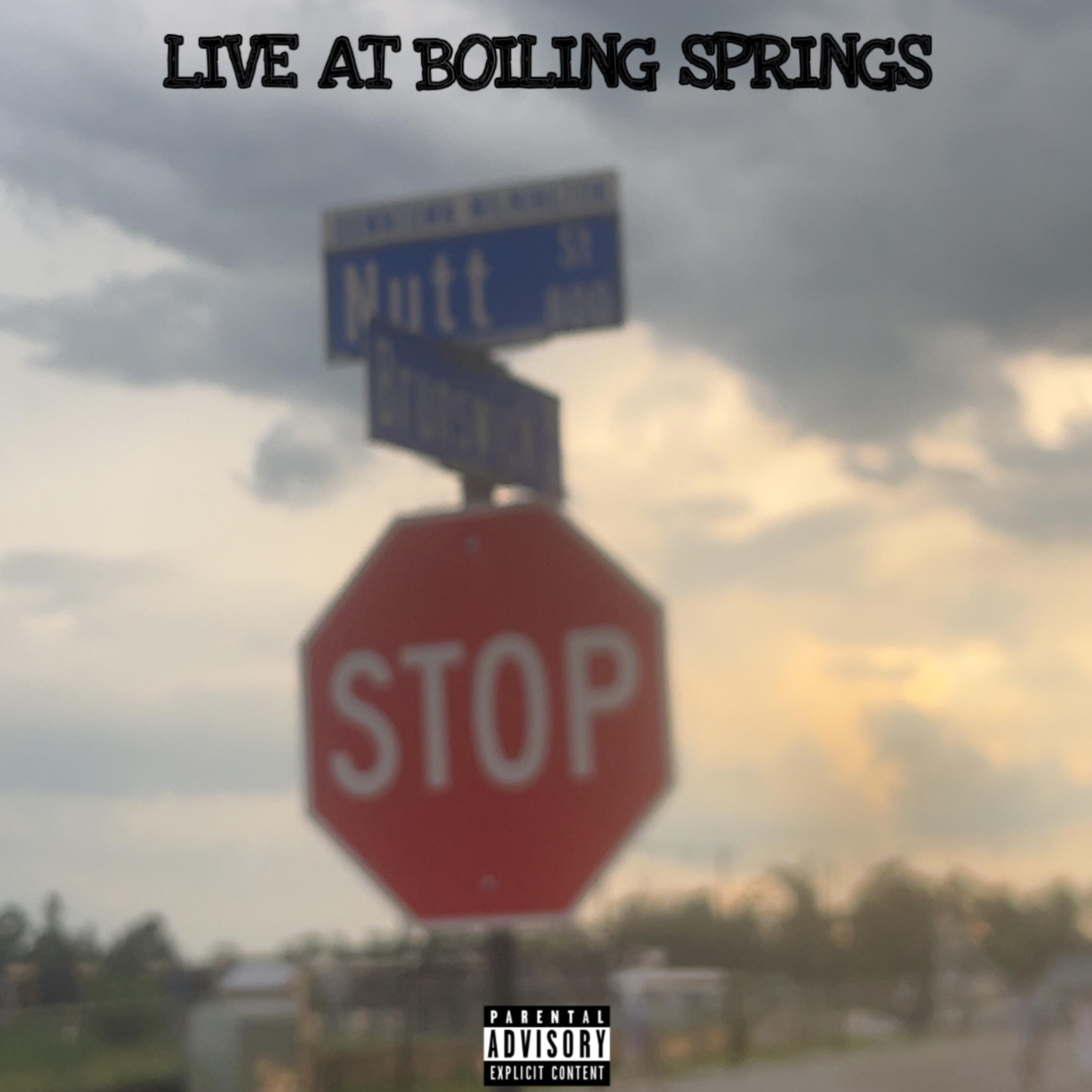 Live At Boiling Springs, Wilmington NC artwork