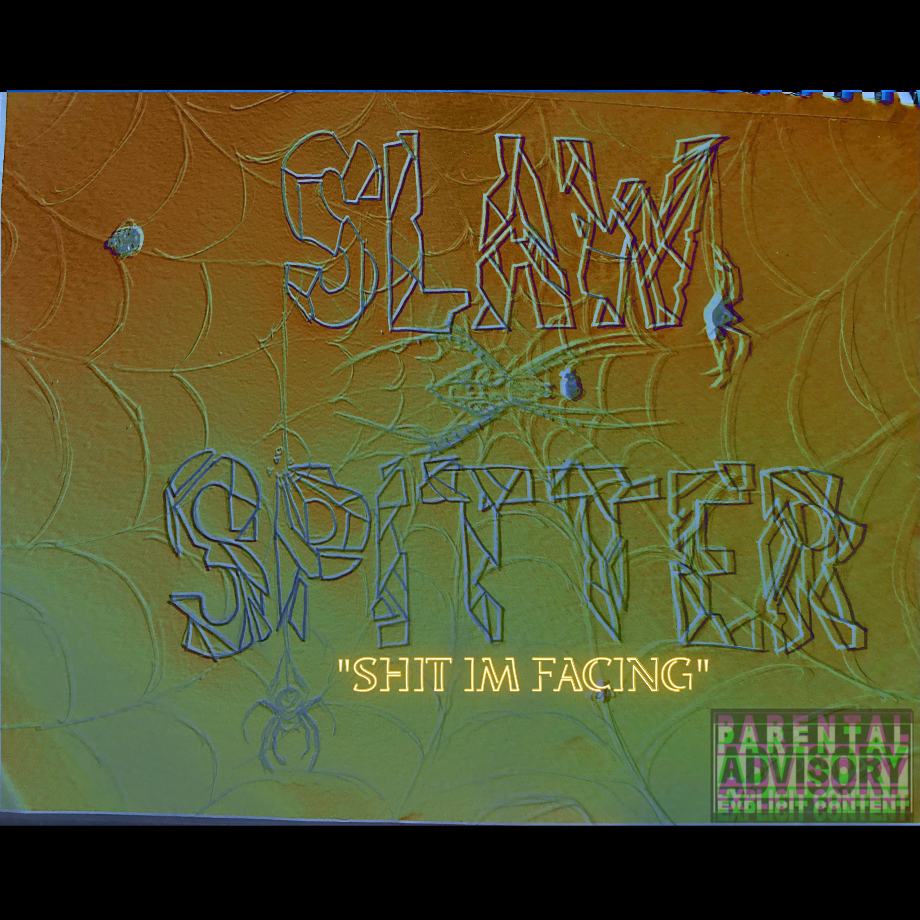 Shit I’m Facing artwork