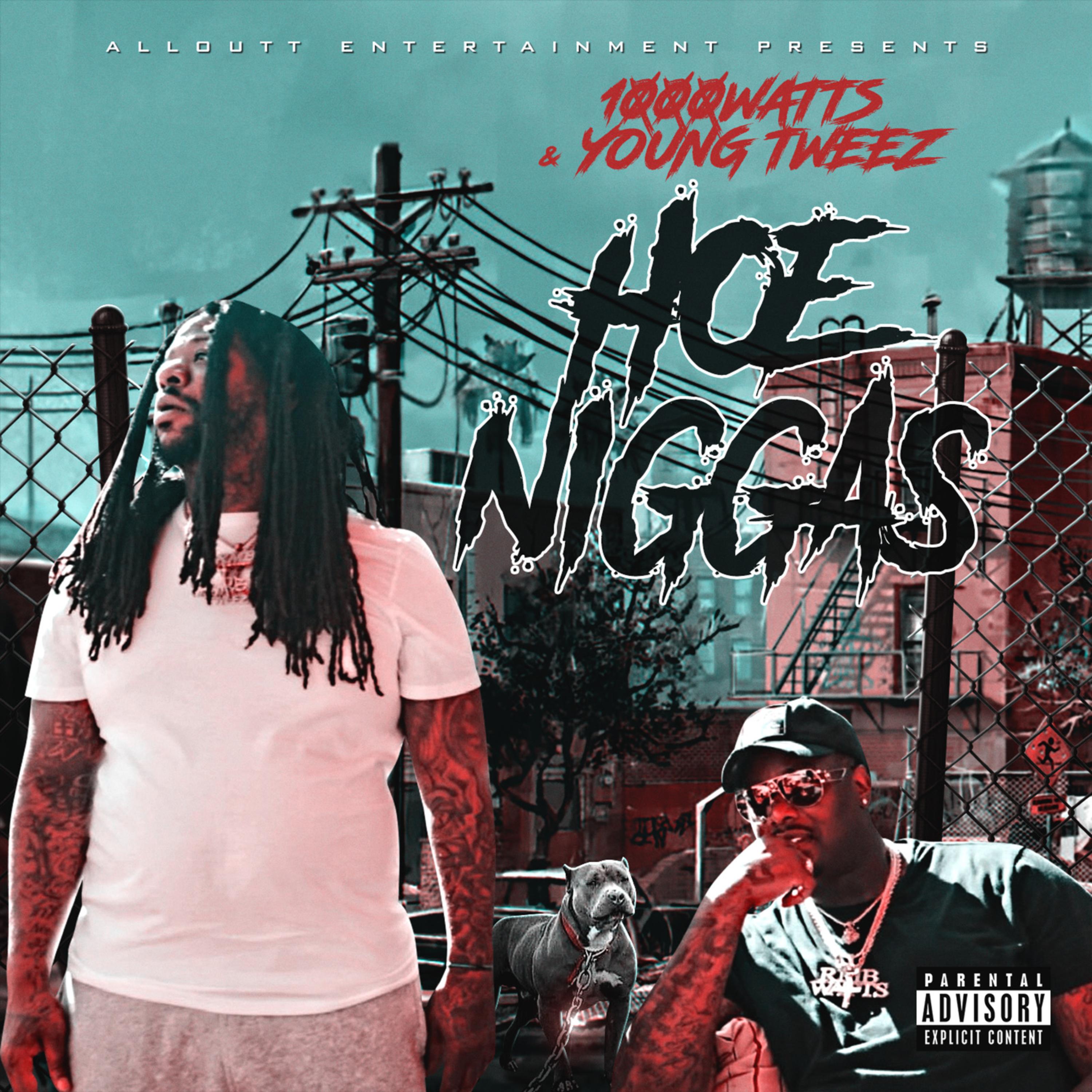 Hoe Niggas artwork
