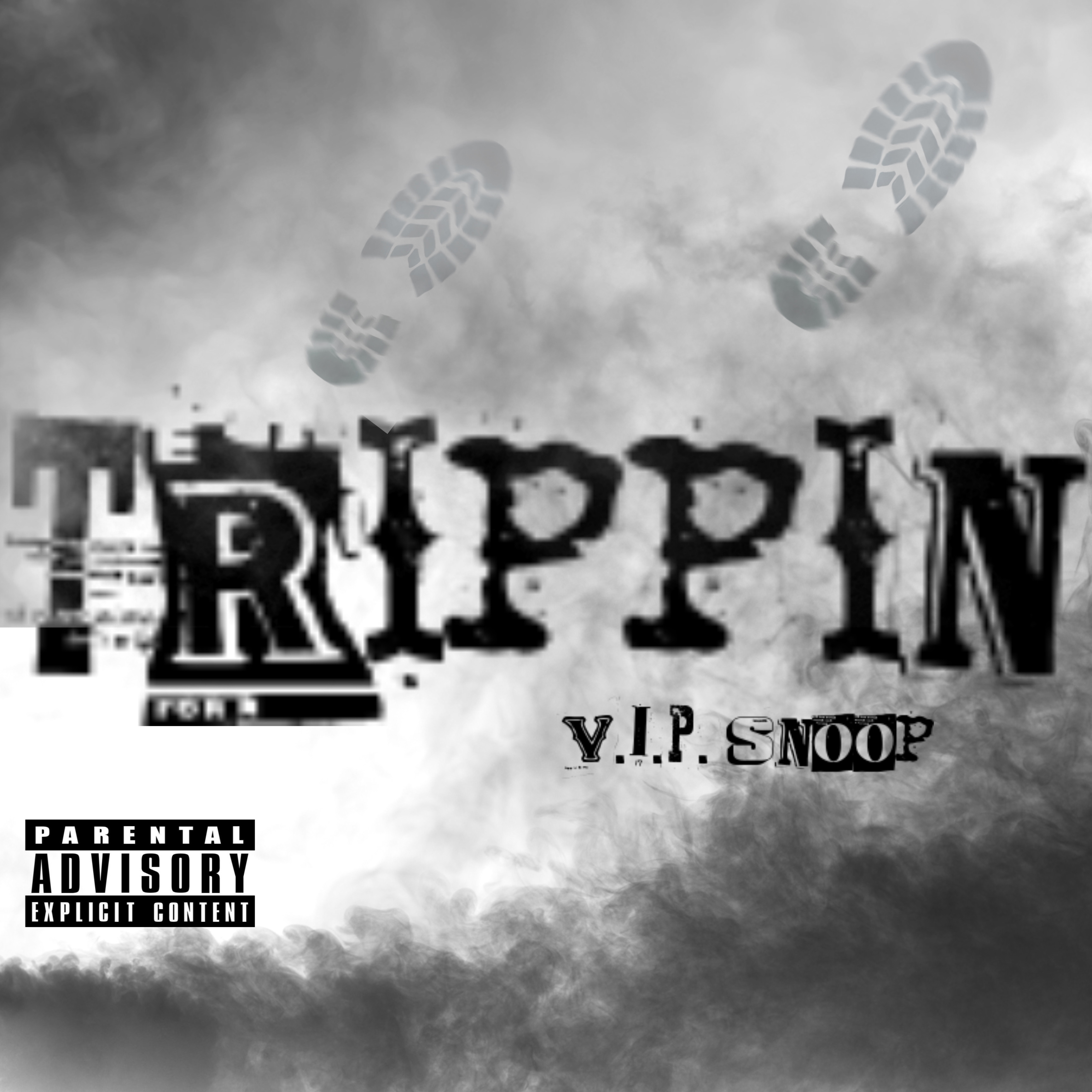 TRIPPIN artwork