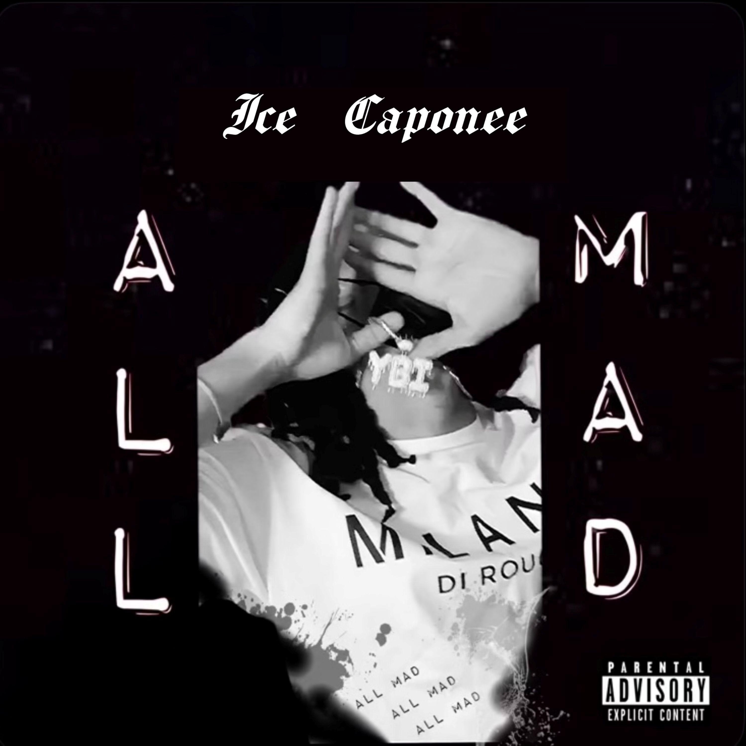 All Mad artwork