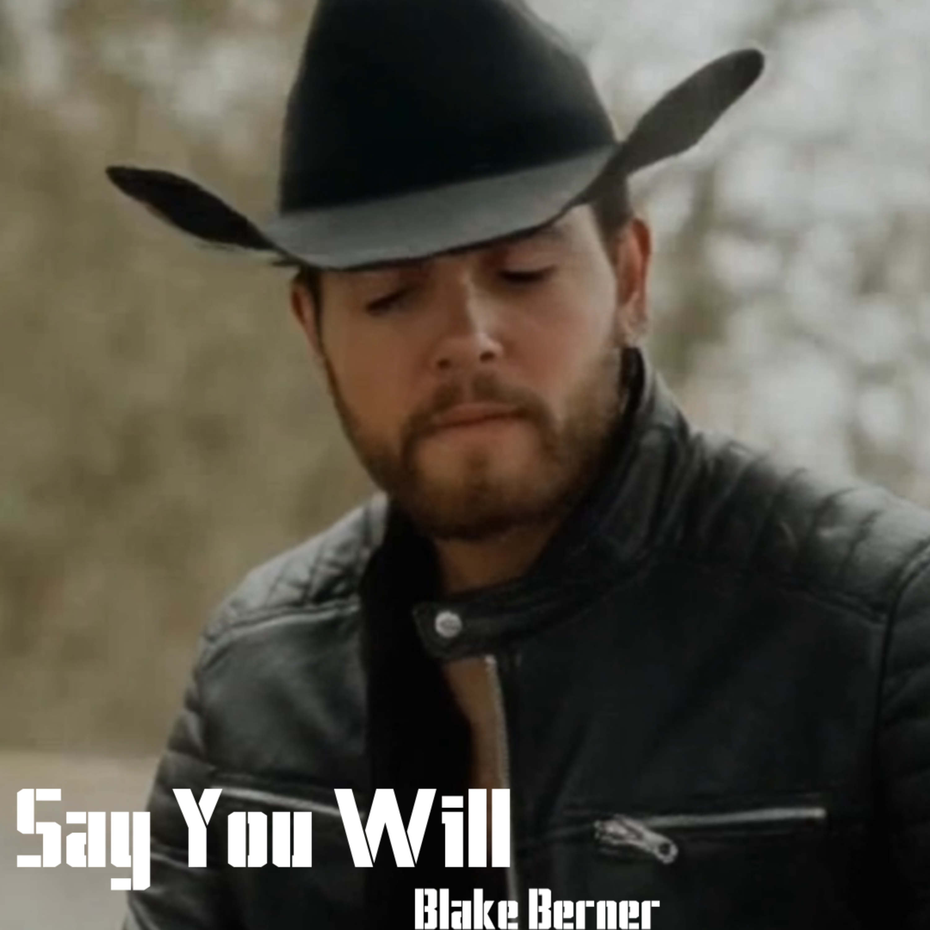 Say You Will artwork