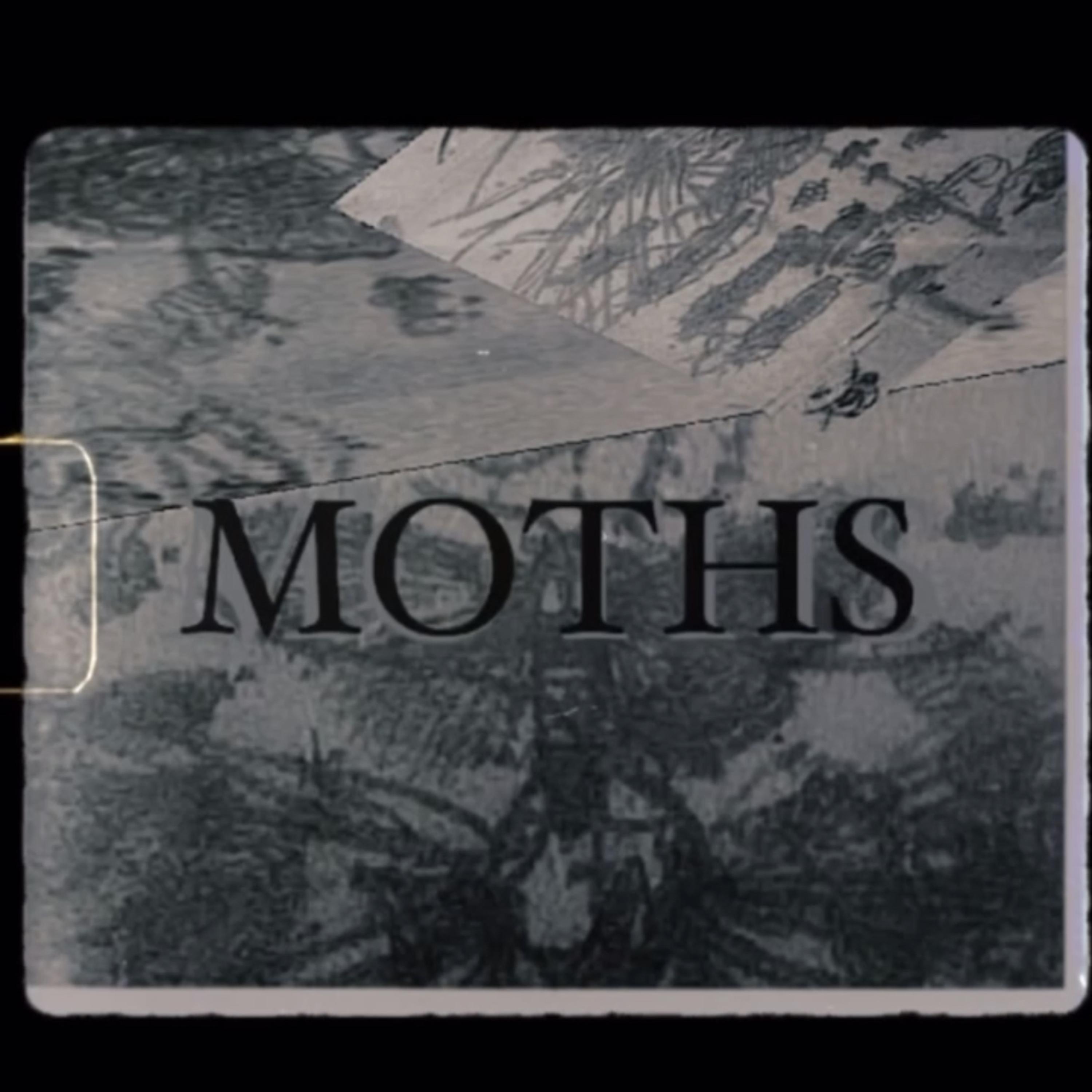 MOTHS (TALK OF THE TOWN) artwork