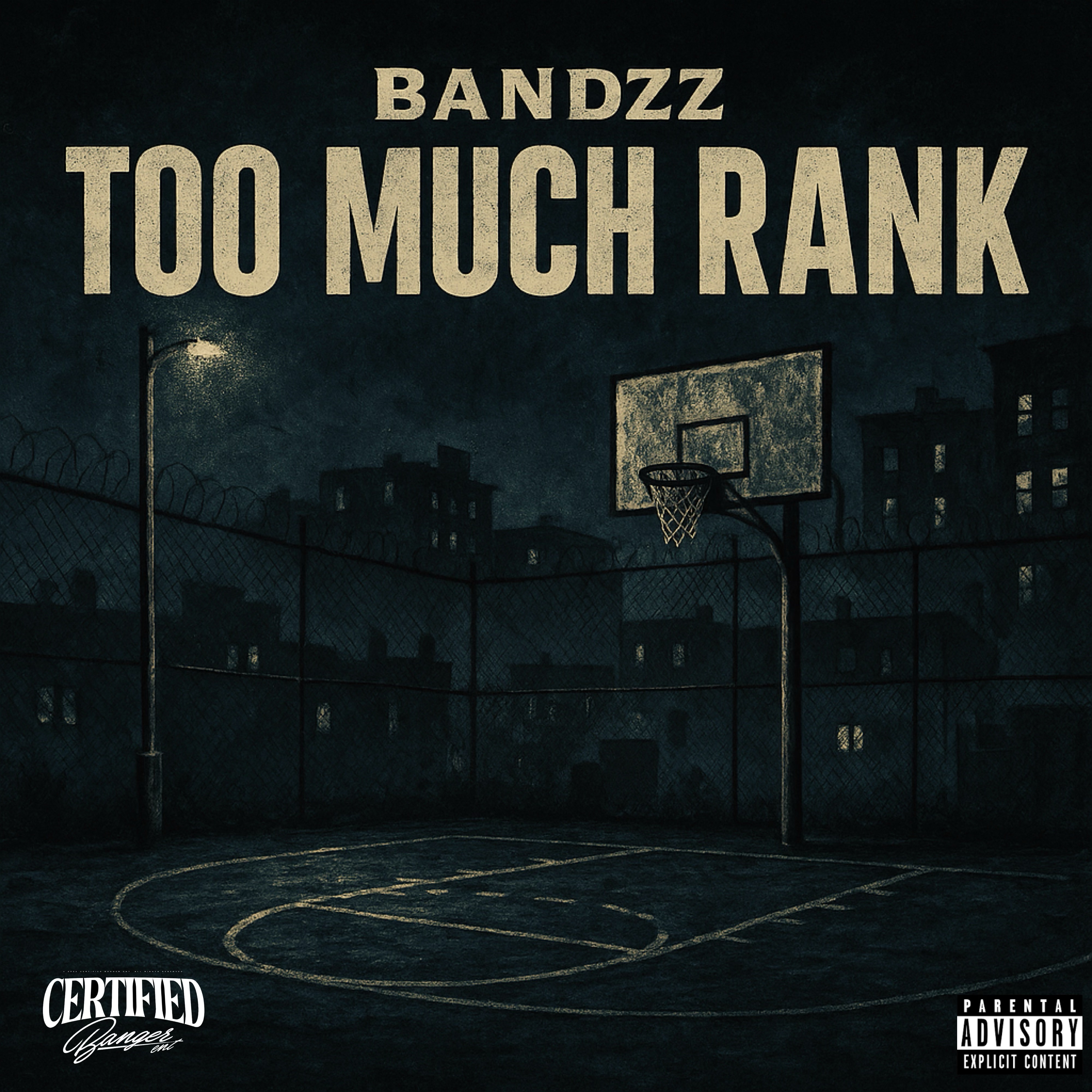 Too Much Rank artwork