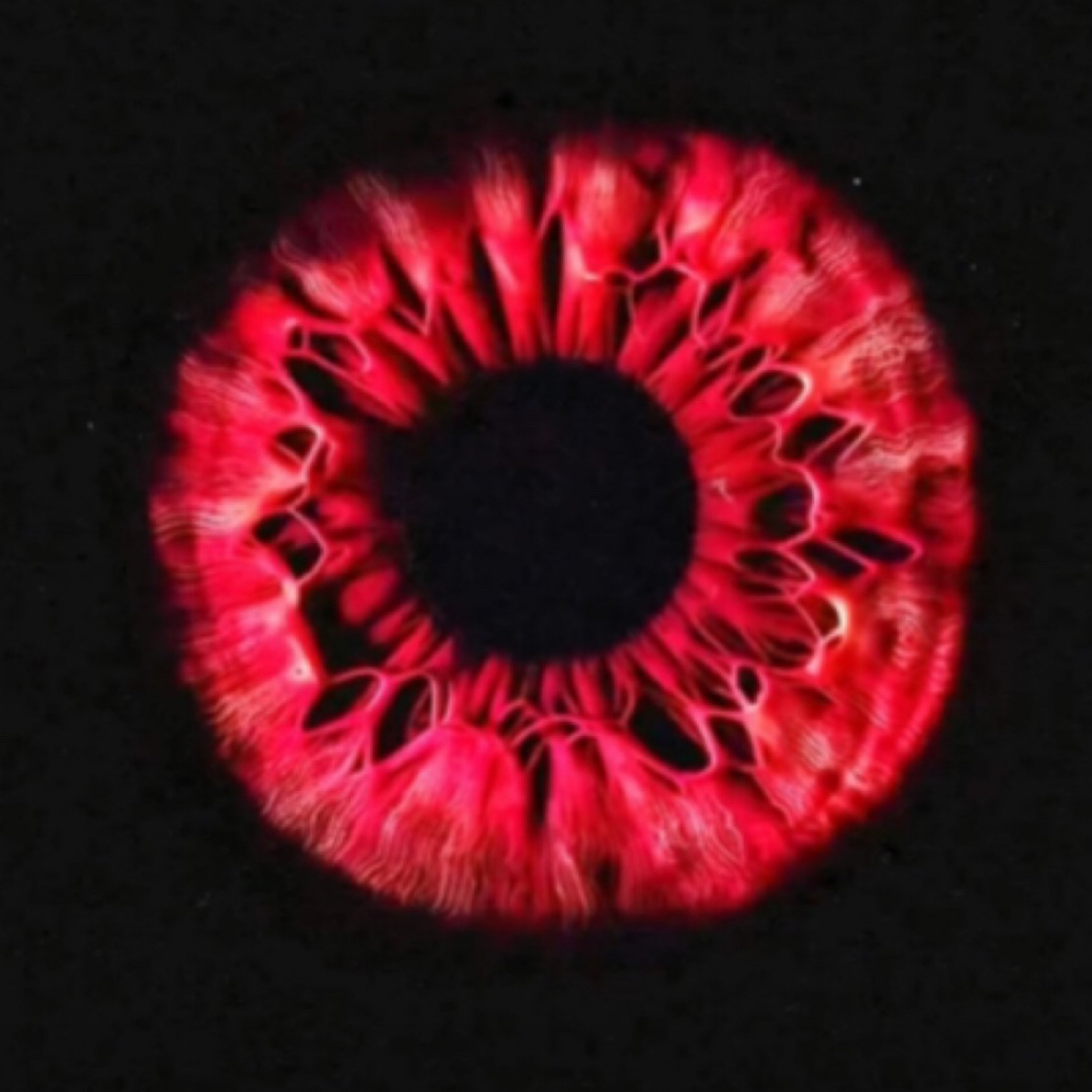 Red Eye Red Eye Red Eye artwork