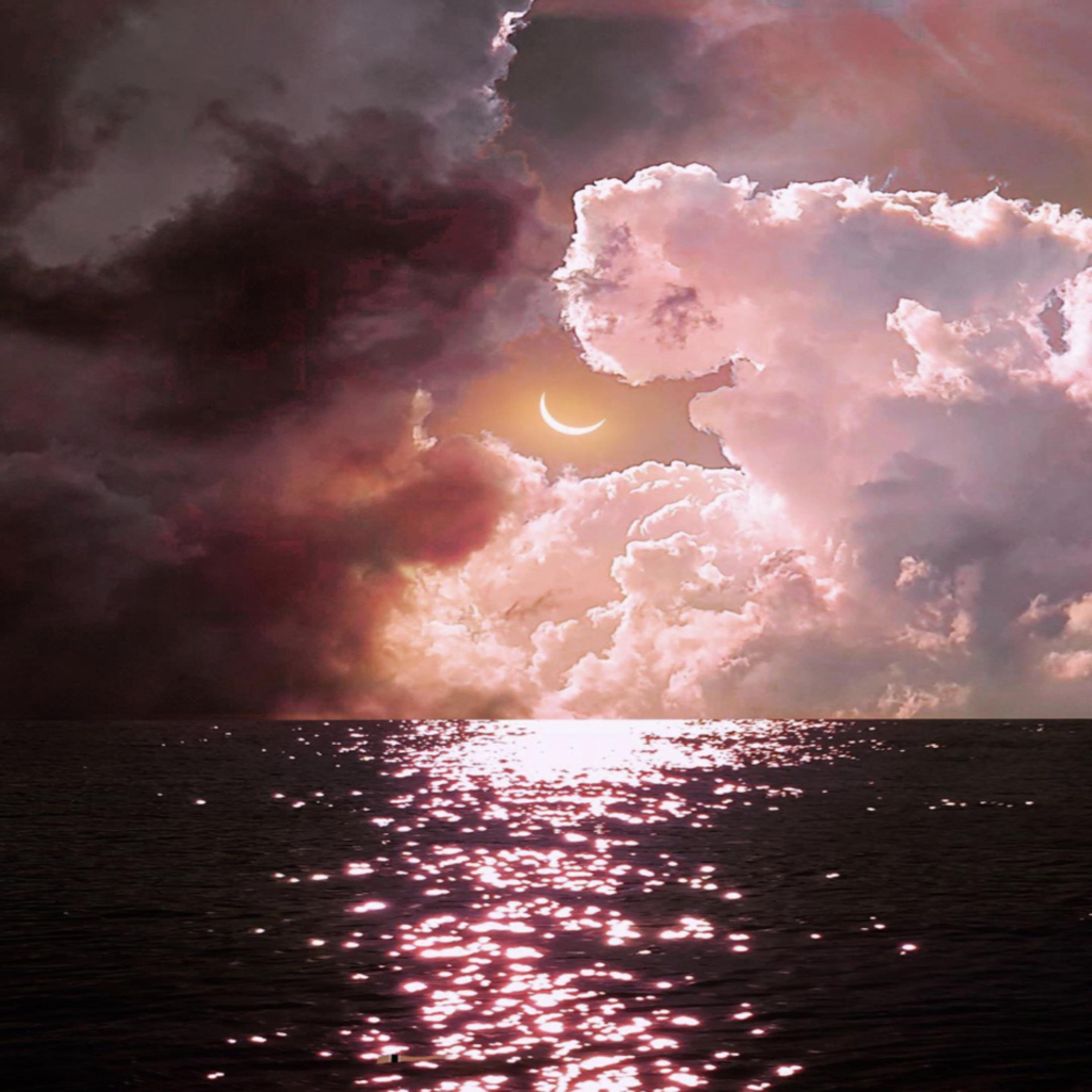 PARADISE artwork