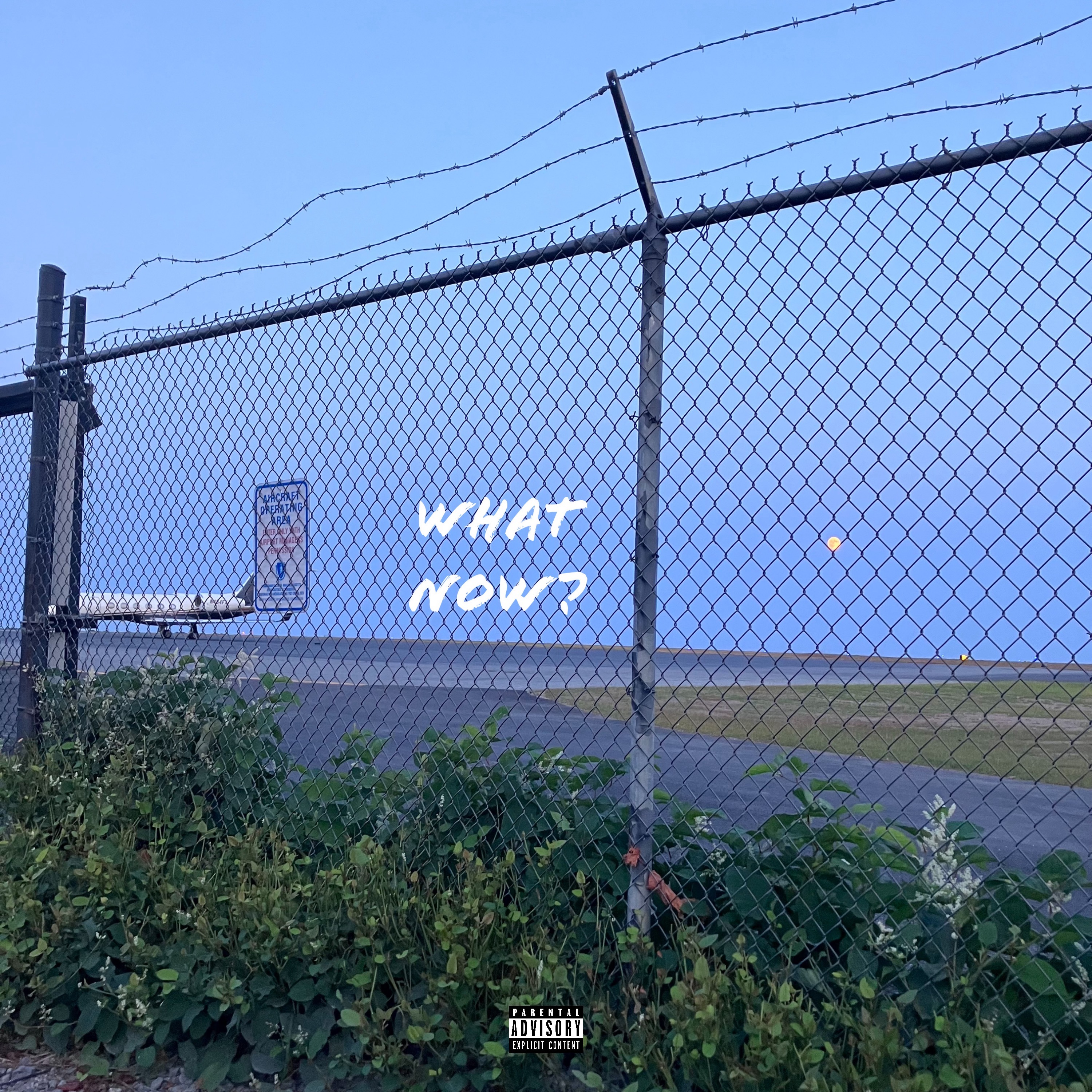 What Now? artwork