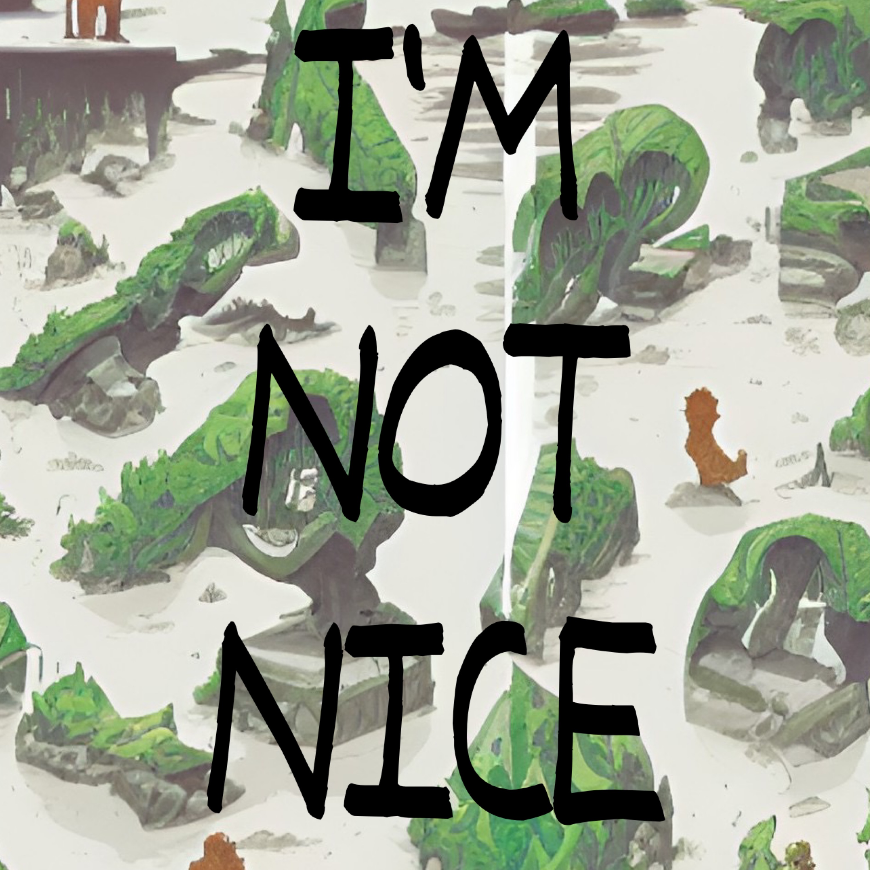 I'M NOT NICE artwork