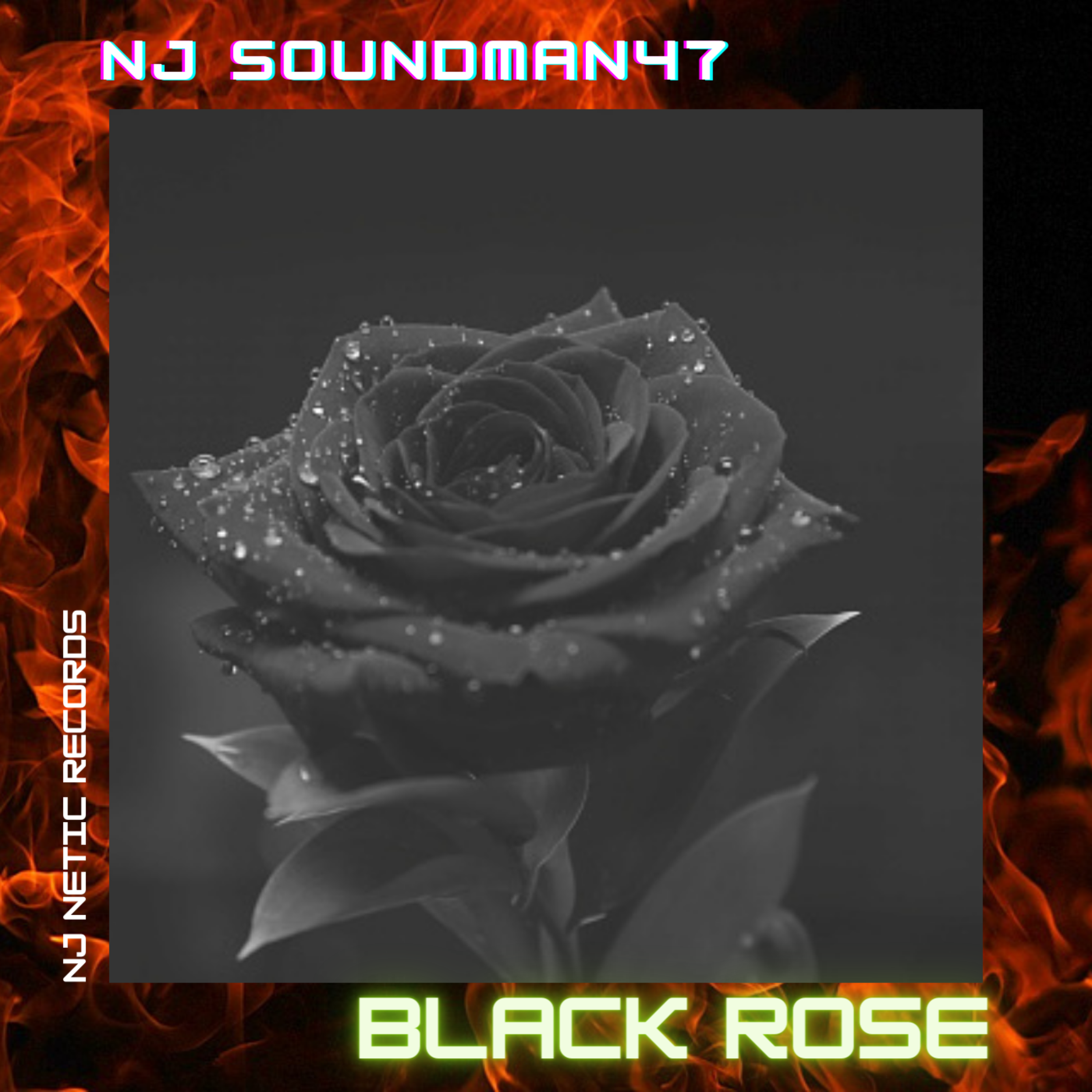 BLACK ROSE  artwork