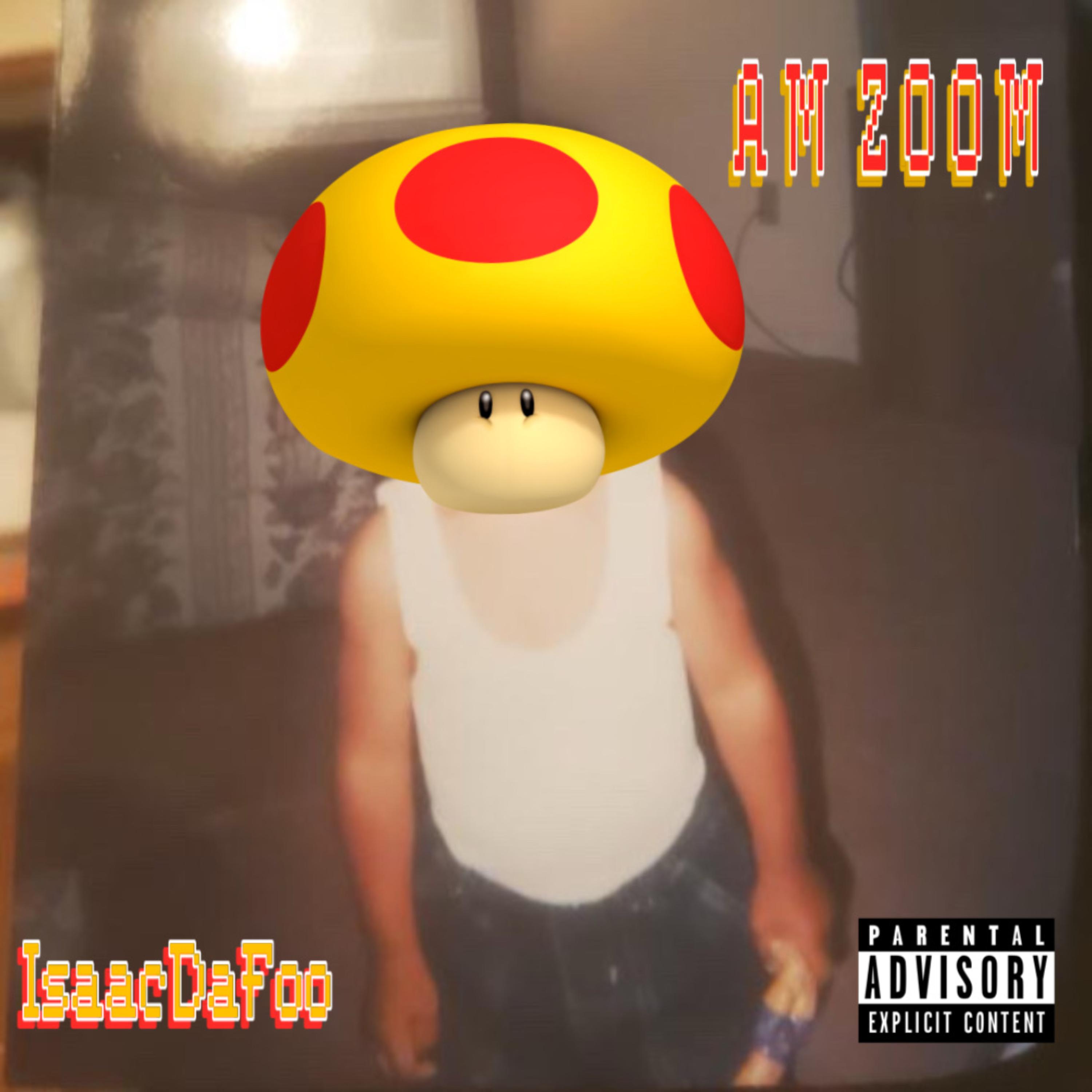 AM ZOOM artwork