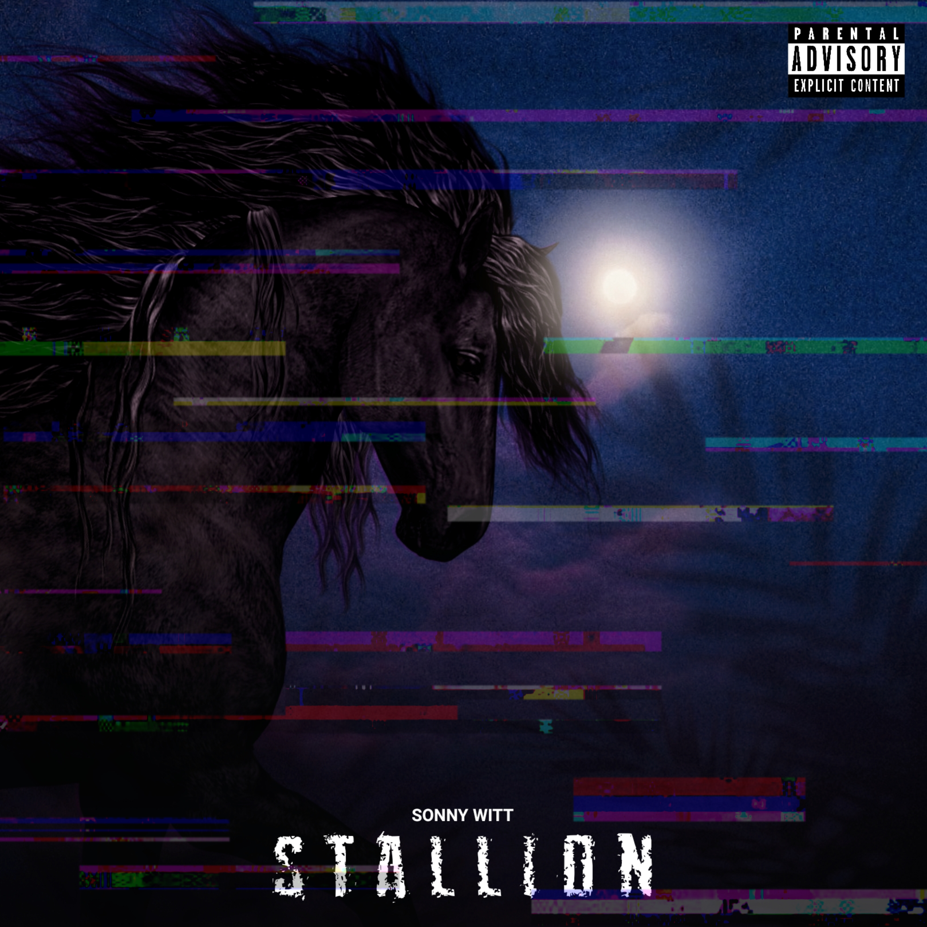 Stallion artwork