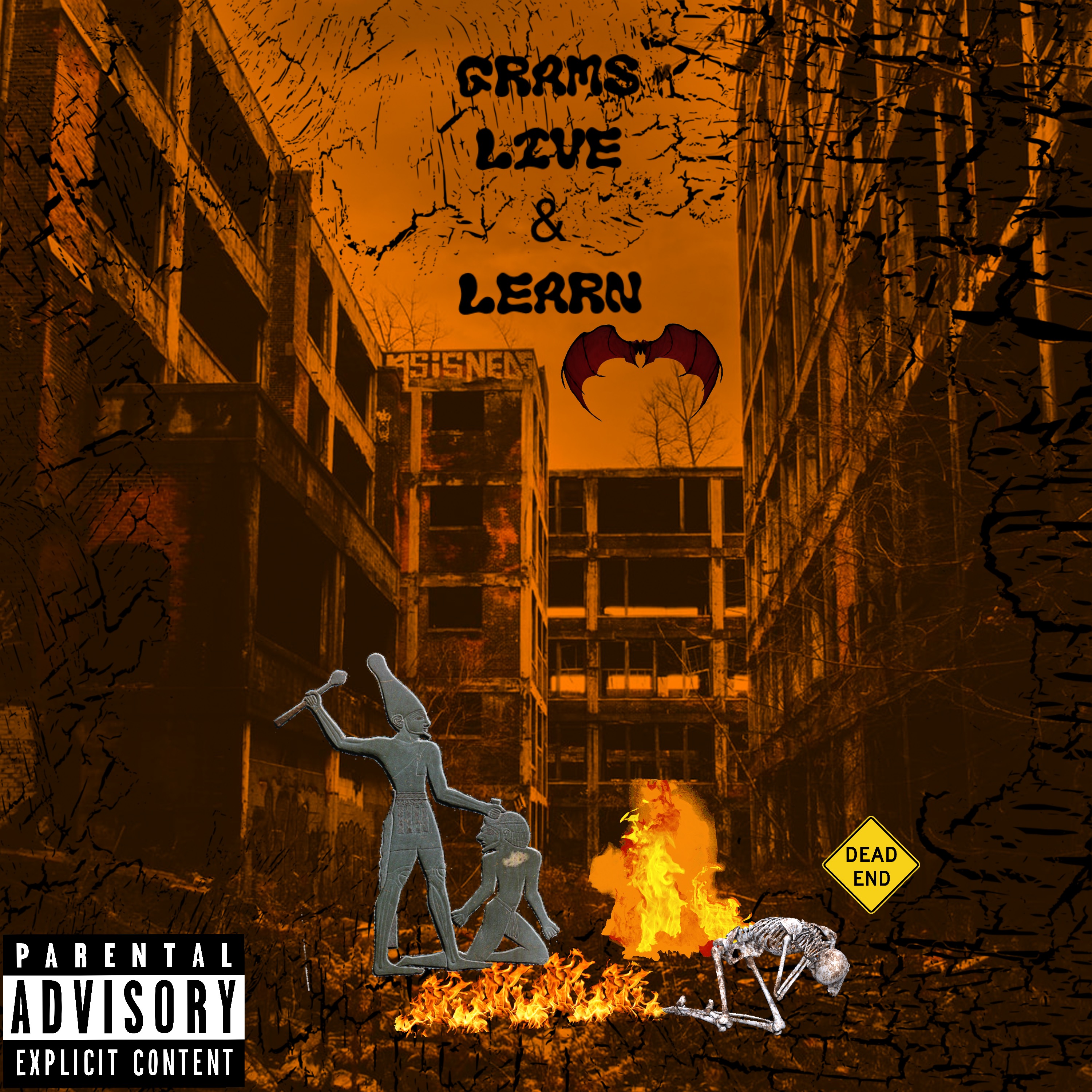 Live & Learn artwork
