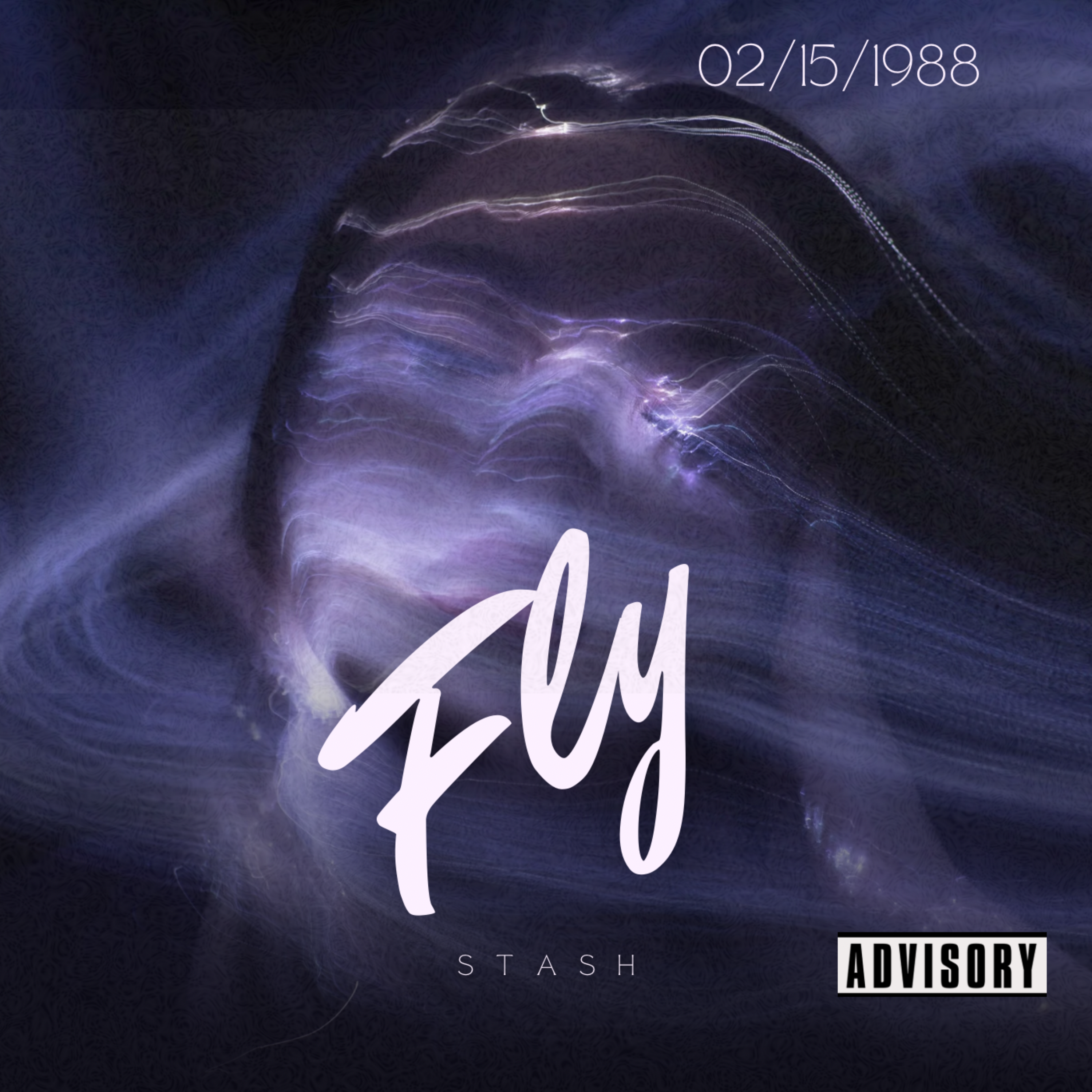 FLY artwork