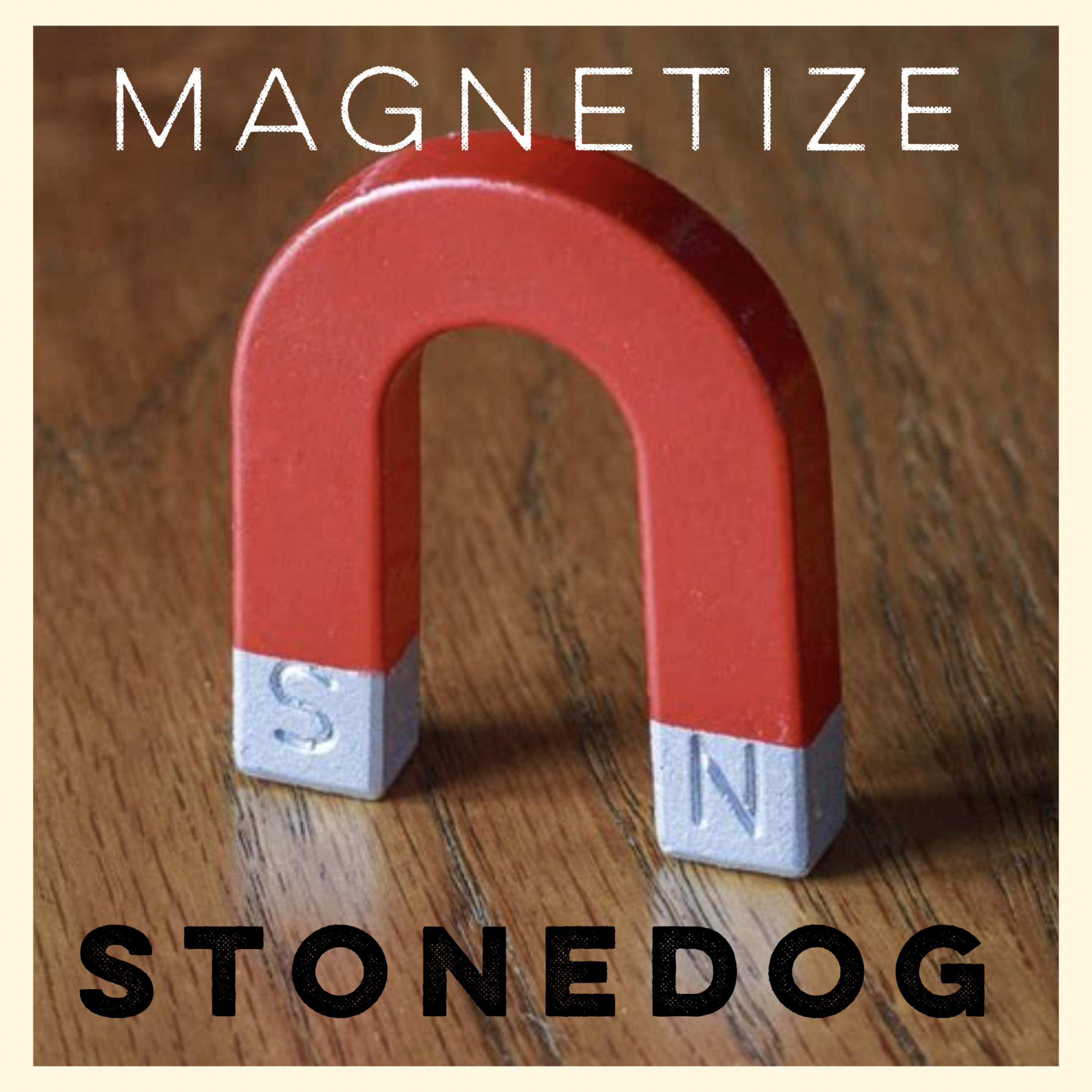 Magnetize artwork
