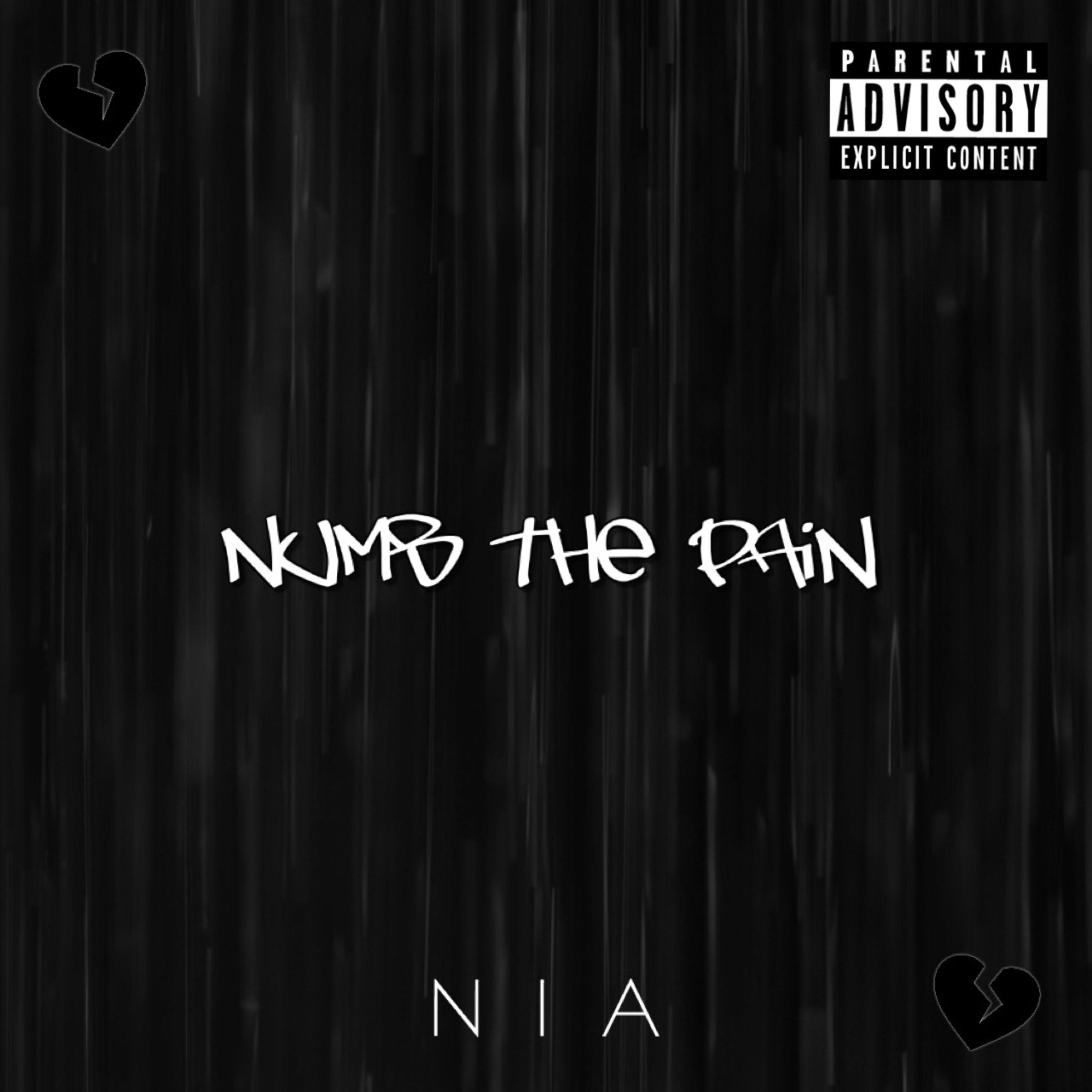 Numb The Pain artwork