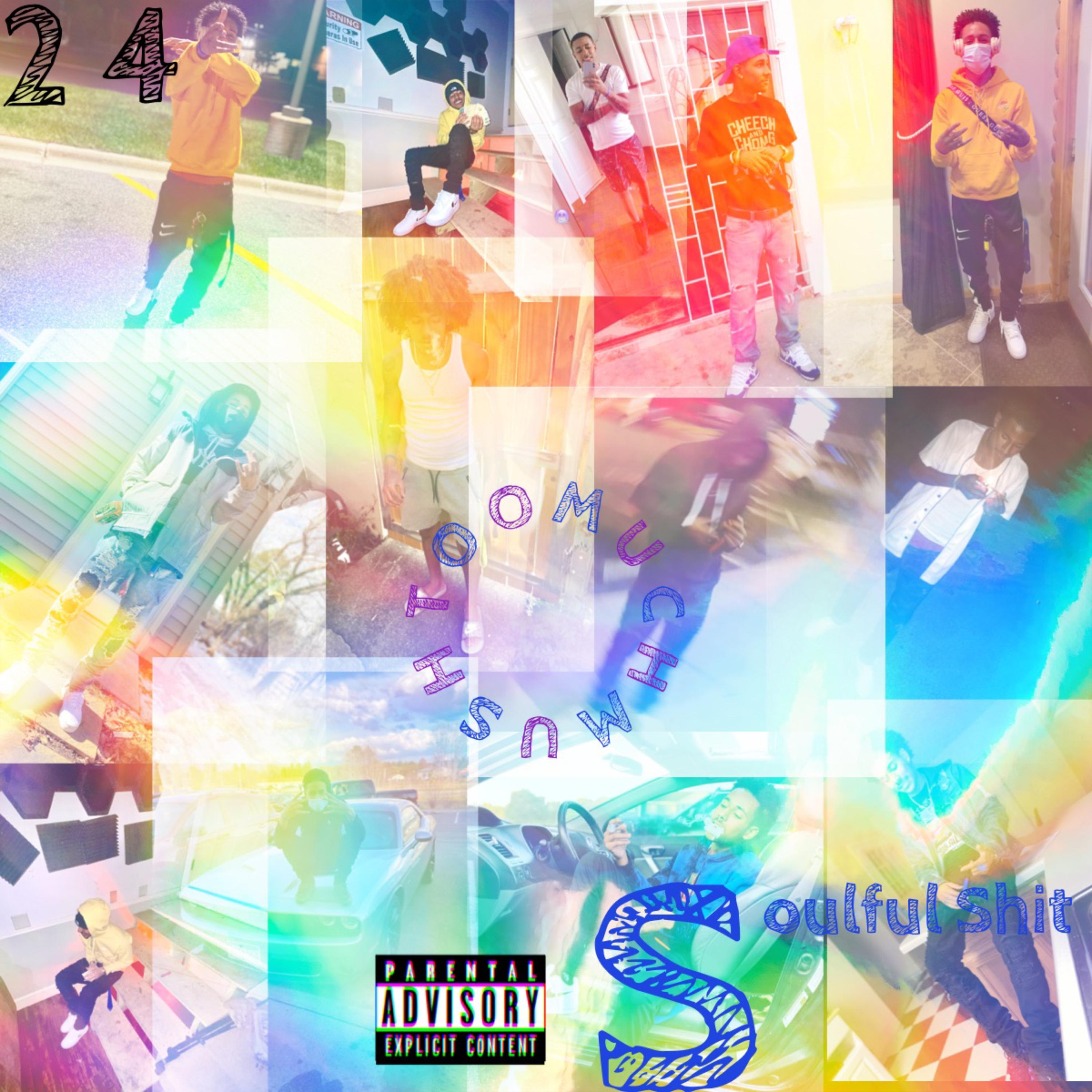 Soulful Sh!t by TOOMUCHMUSH cover art