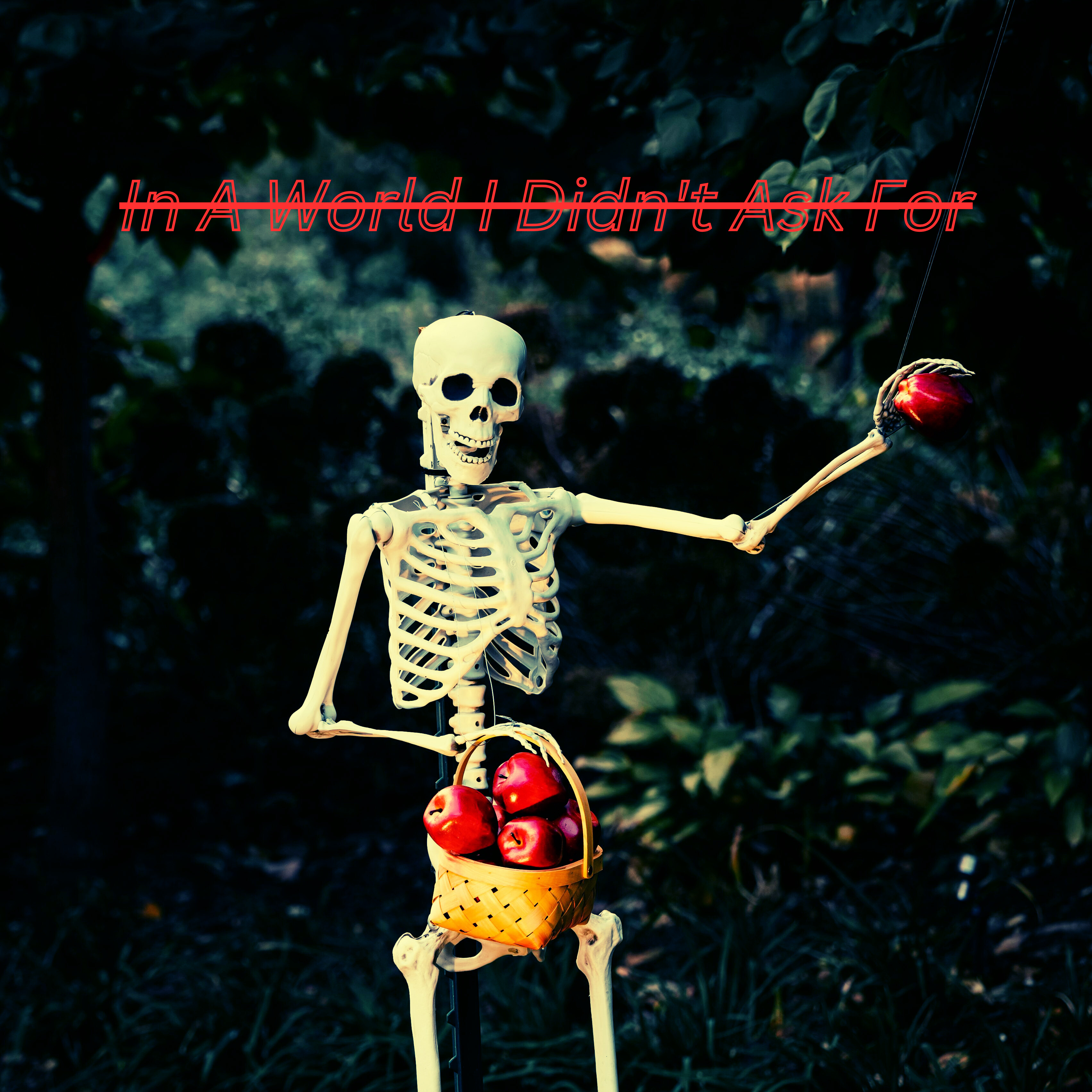 In A World I Didn't Ask For artwork
