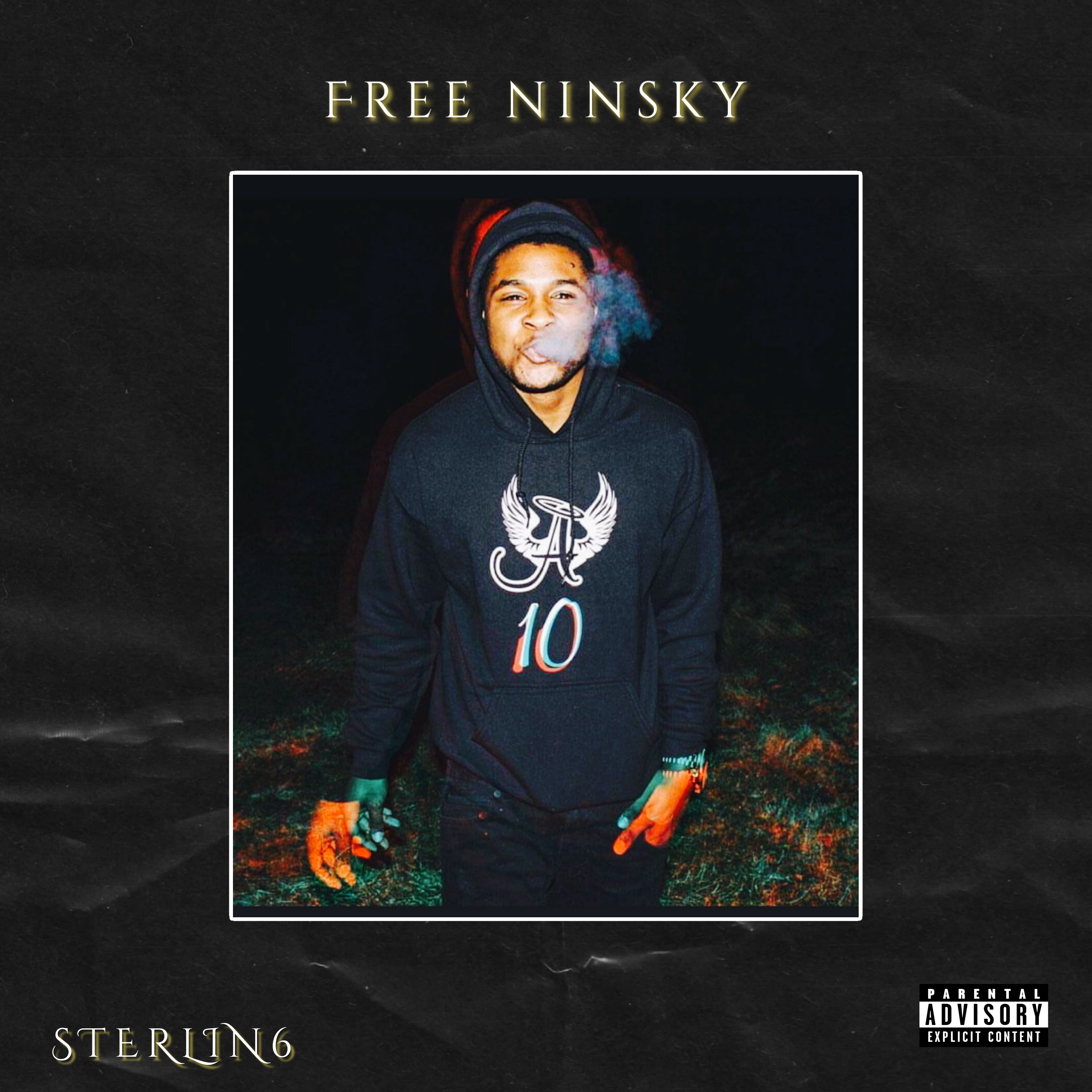 Free Ninsky by STERLIN6 cover art