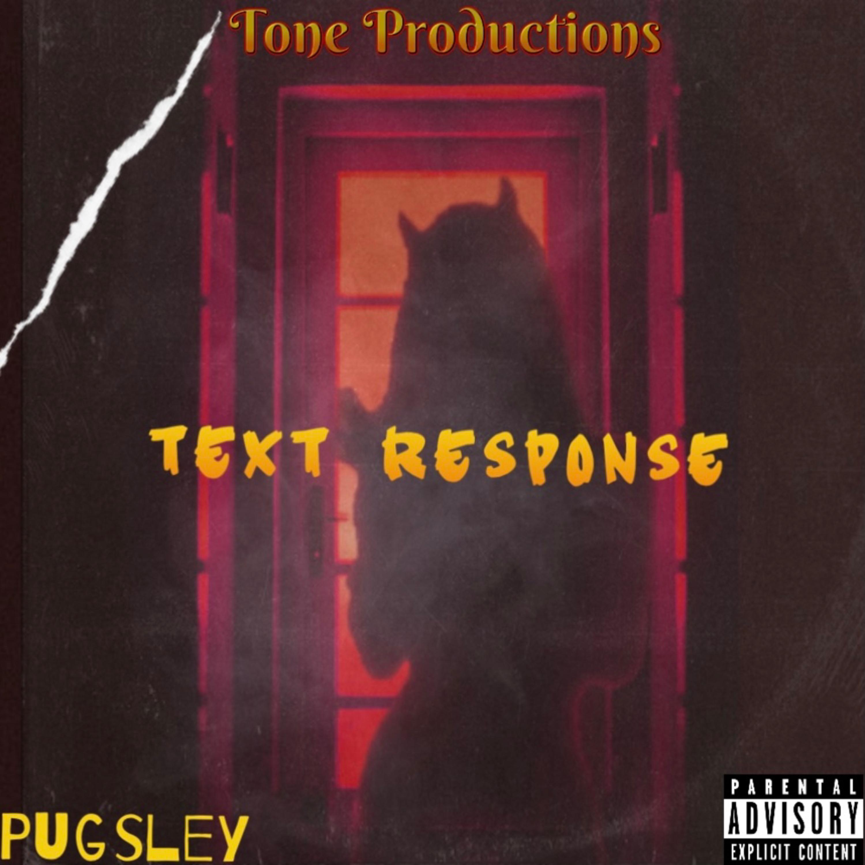 Text Response artwork