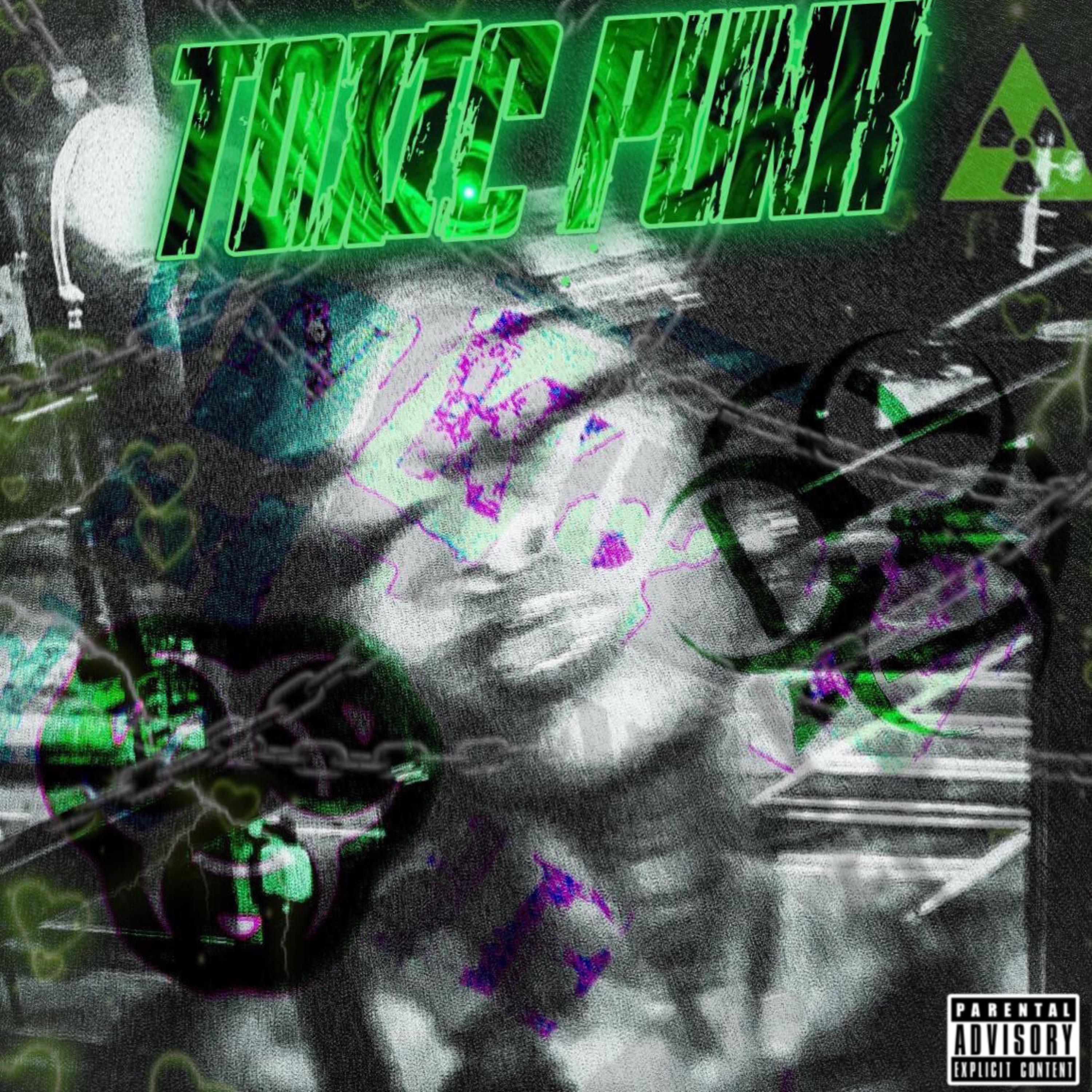 TOXIC PUNK by Toxic Toonk cover art