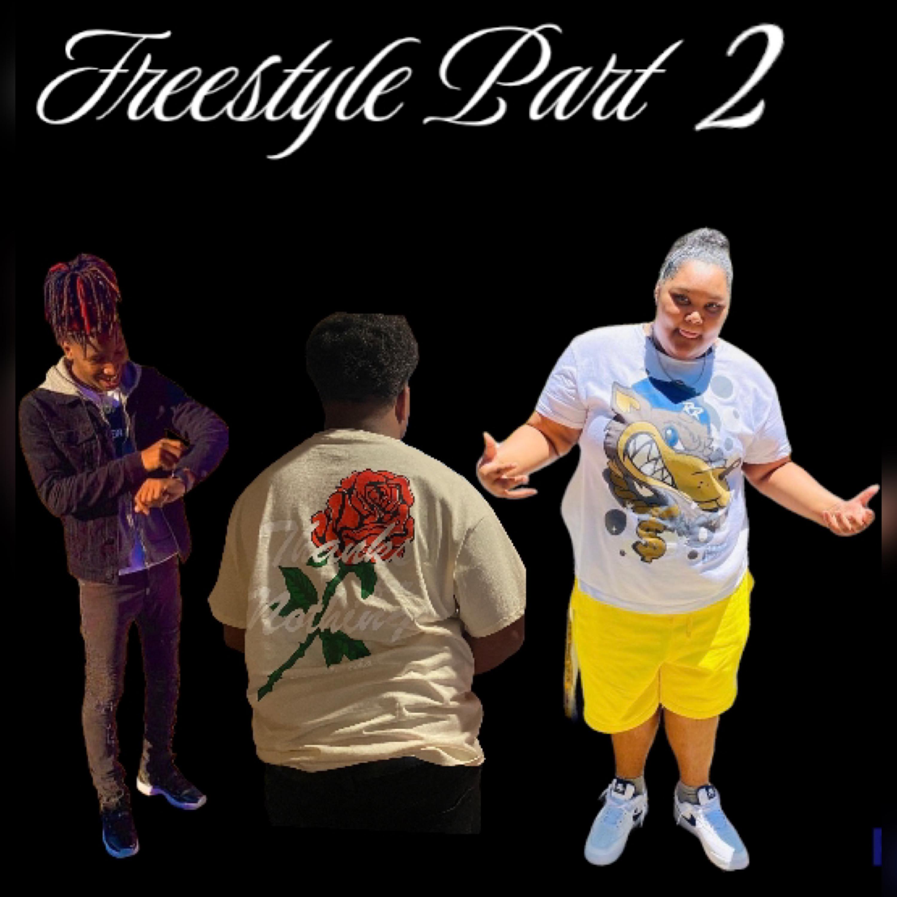 FreeStyle PT2 artwork