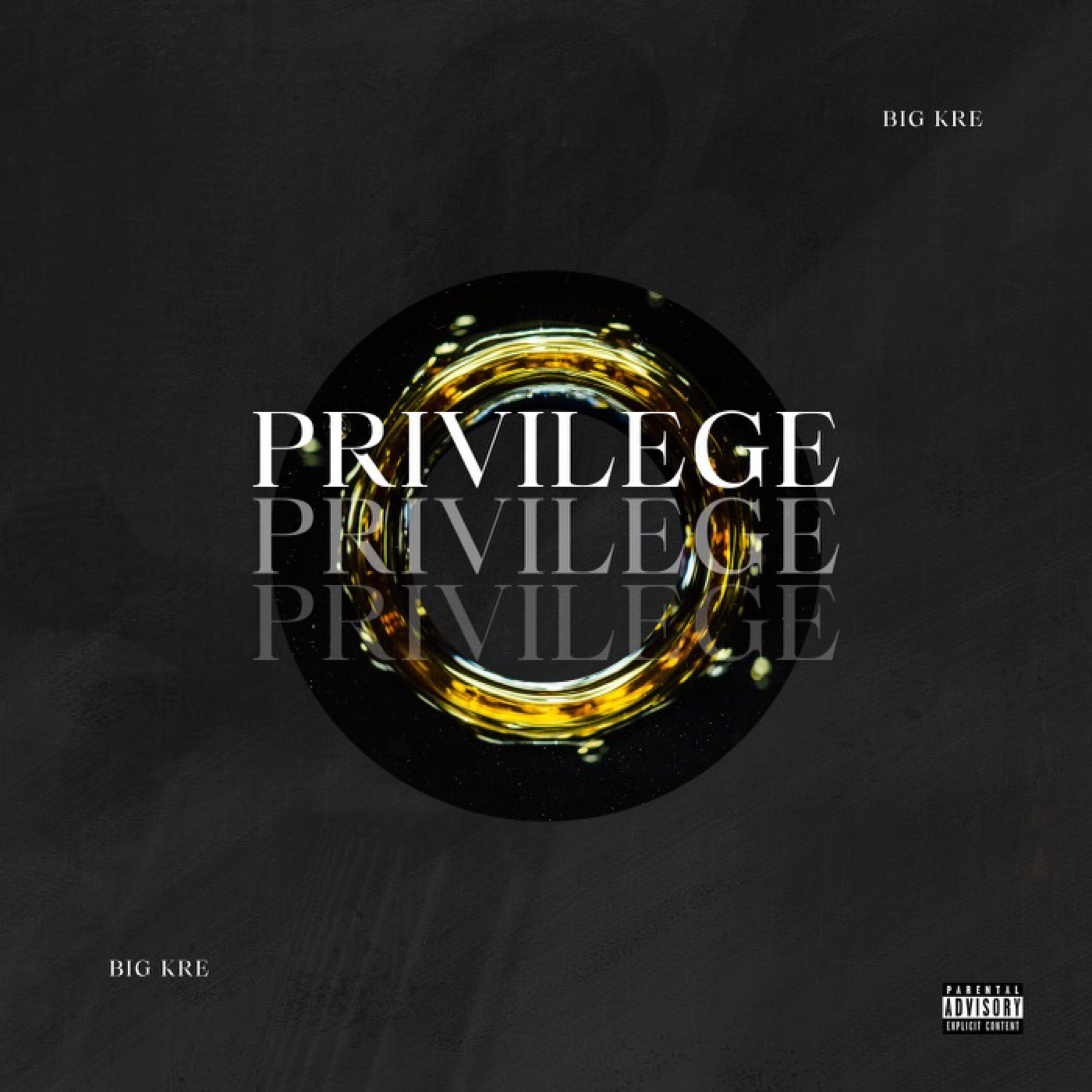Privilege artwork