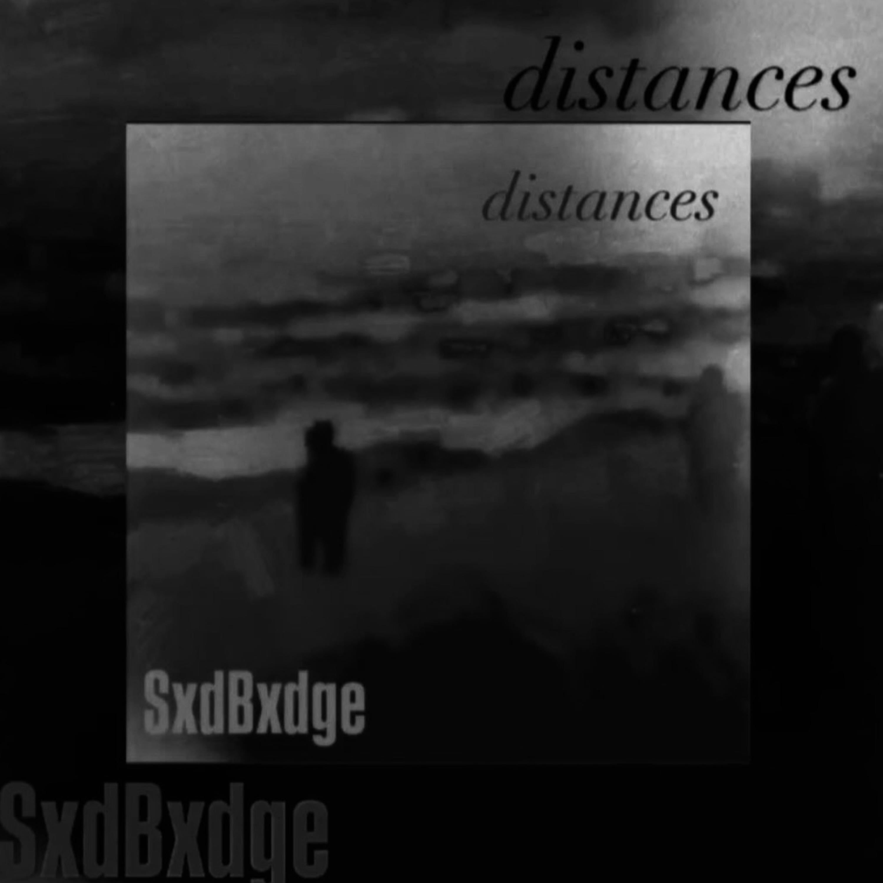 Distances (Silver Deluxe Edition) artwork