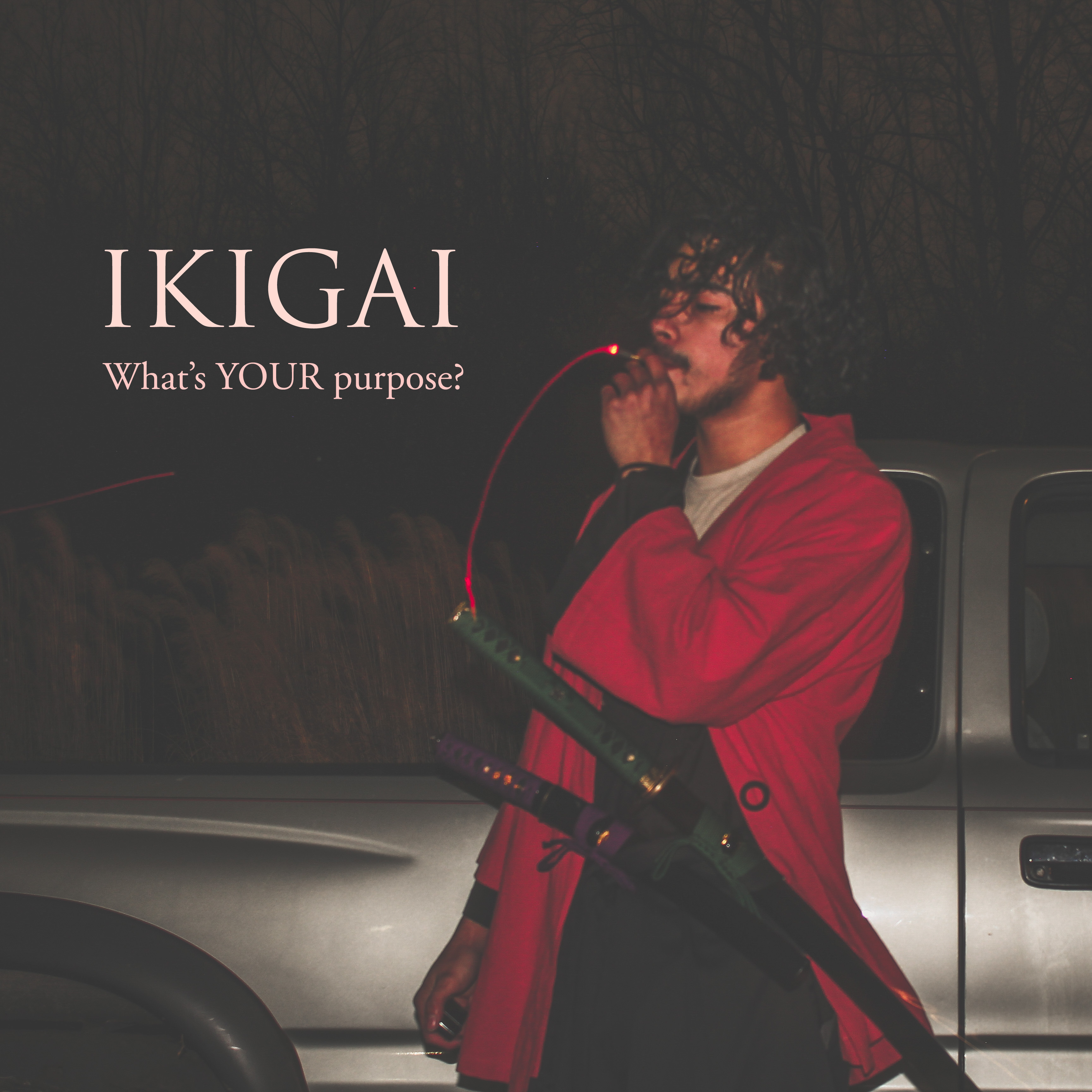 IKIGAI artwork