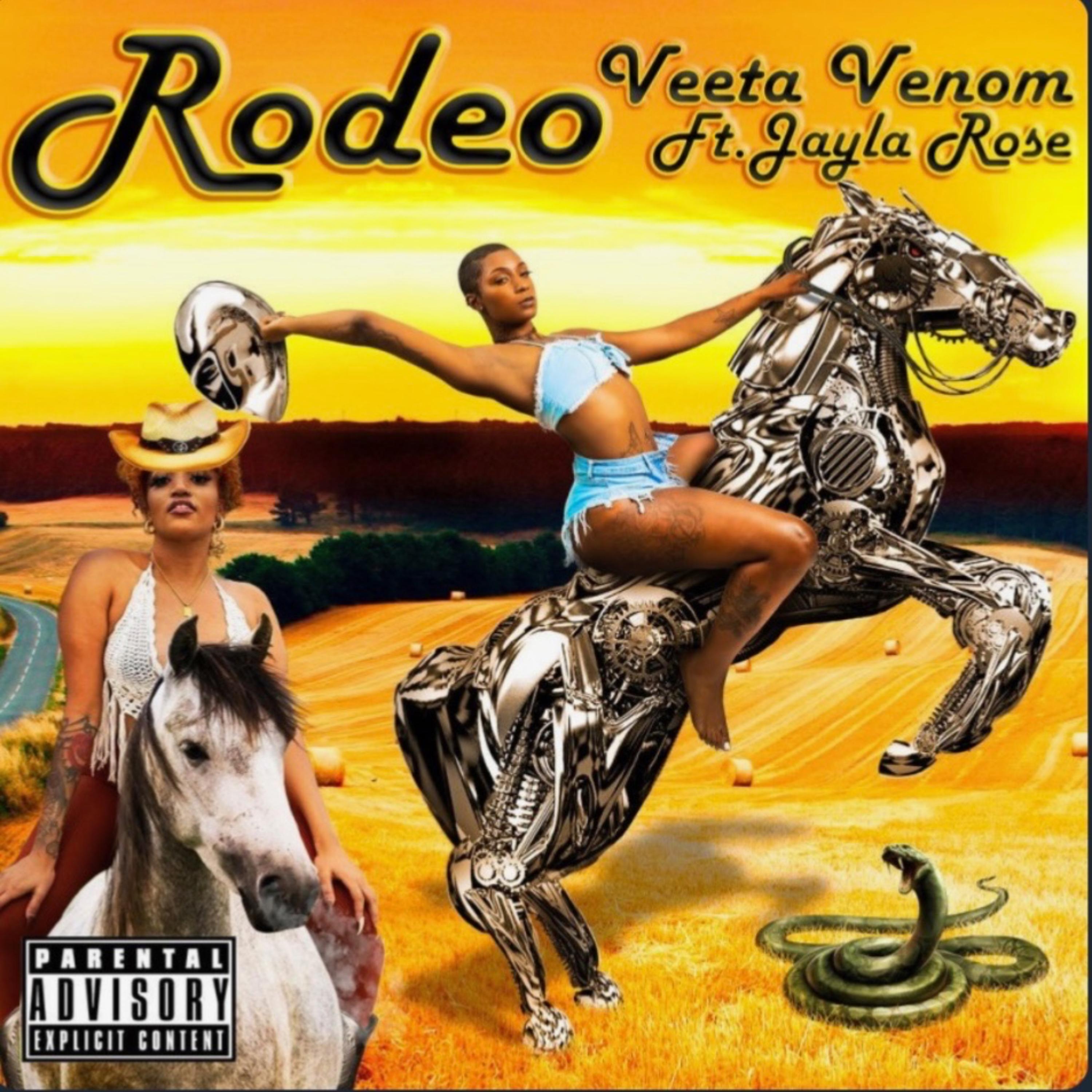Rodeo by Veeta Venom cover art
