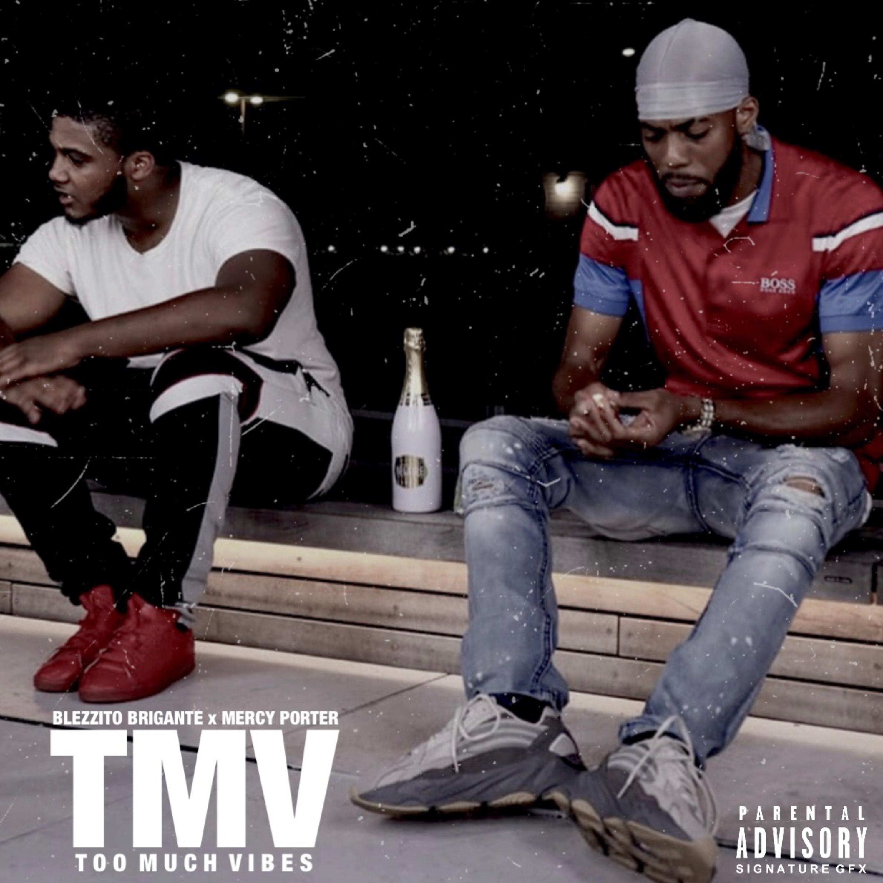 TMV (Too Much Vibes) artwork