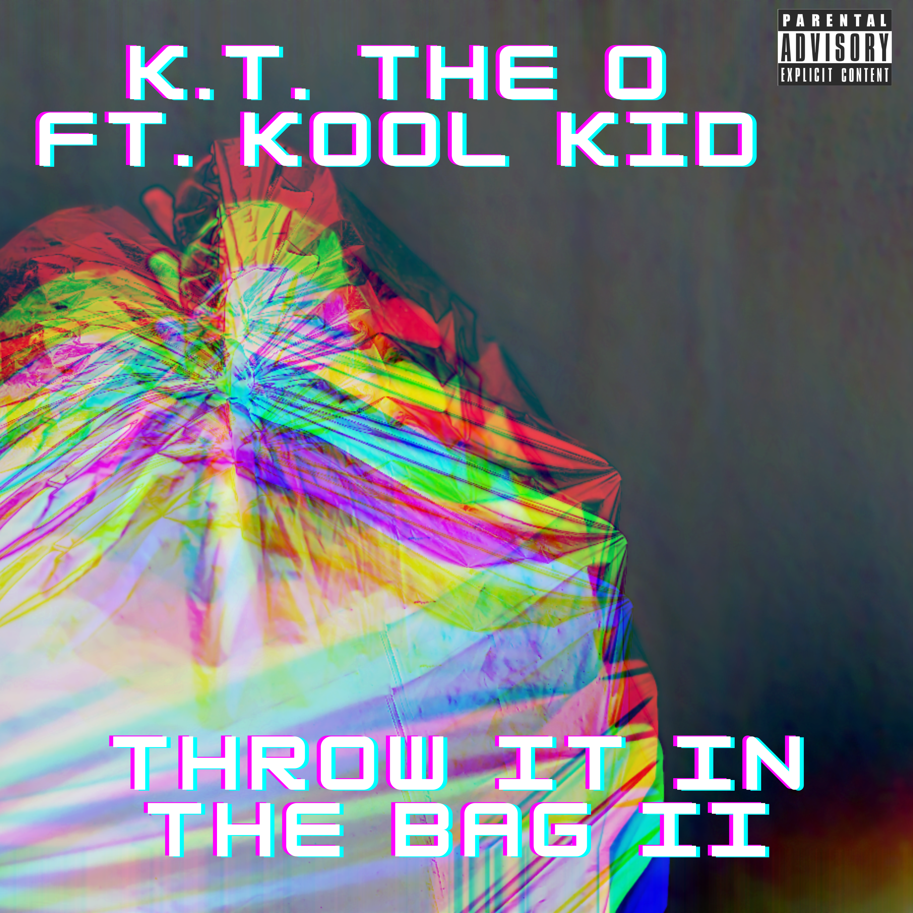 Throw It In the Bag II by K.T. The O cover art