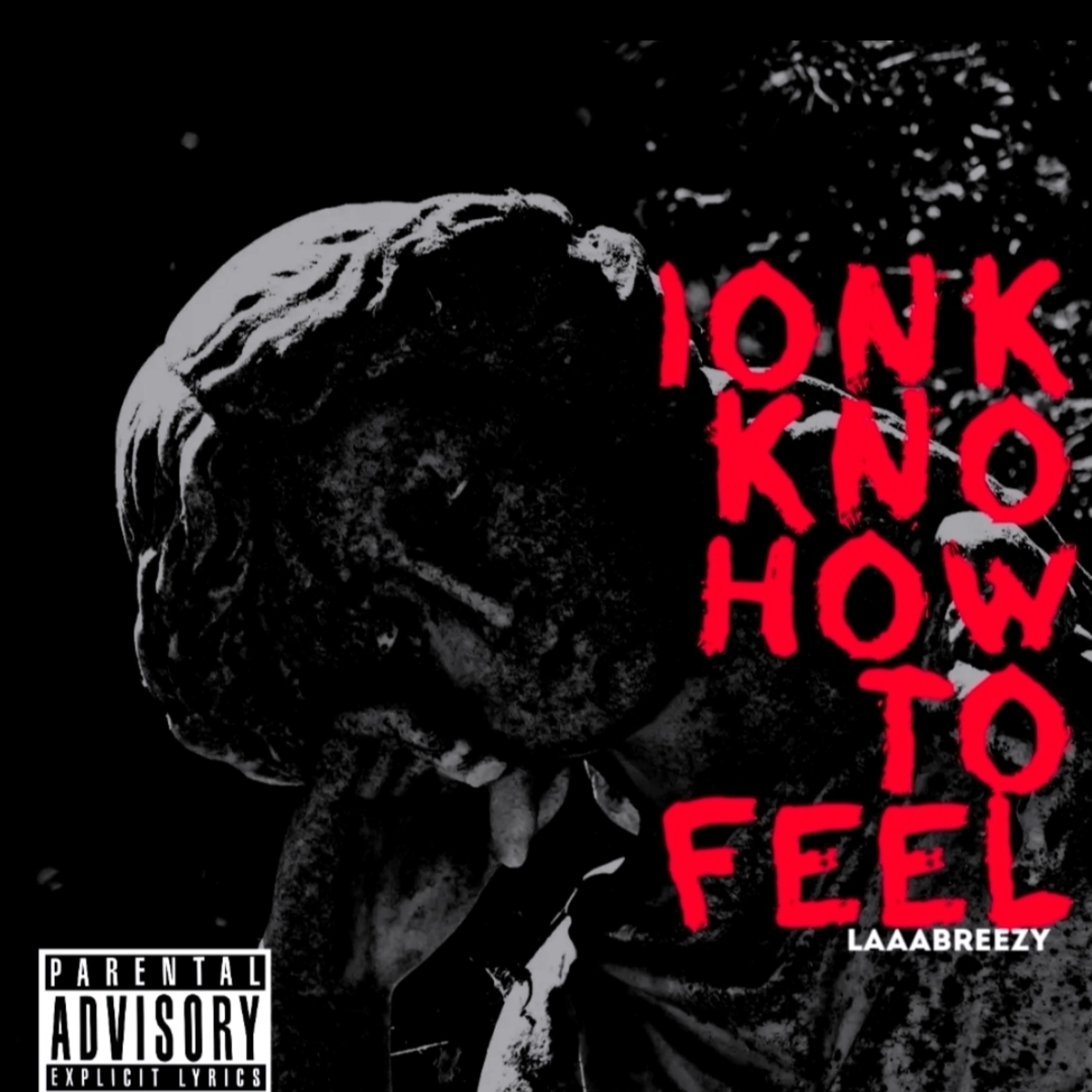 ionk how to feel artwork
