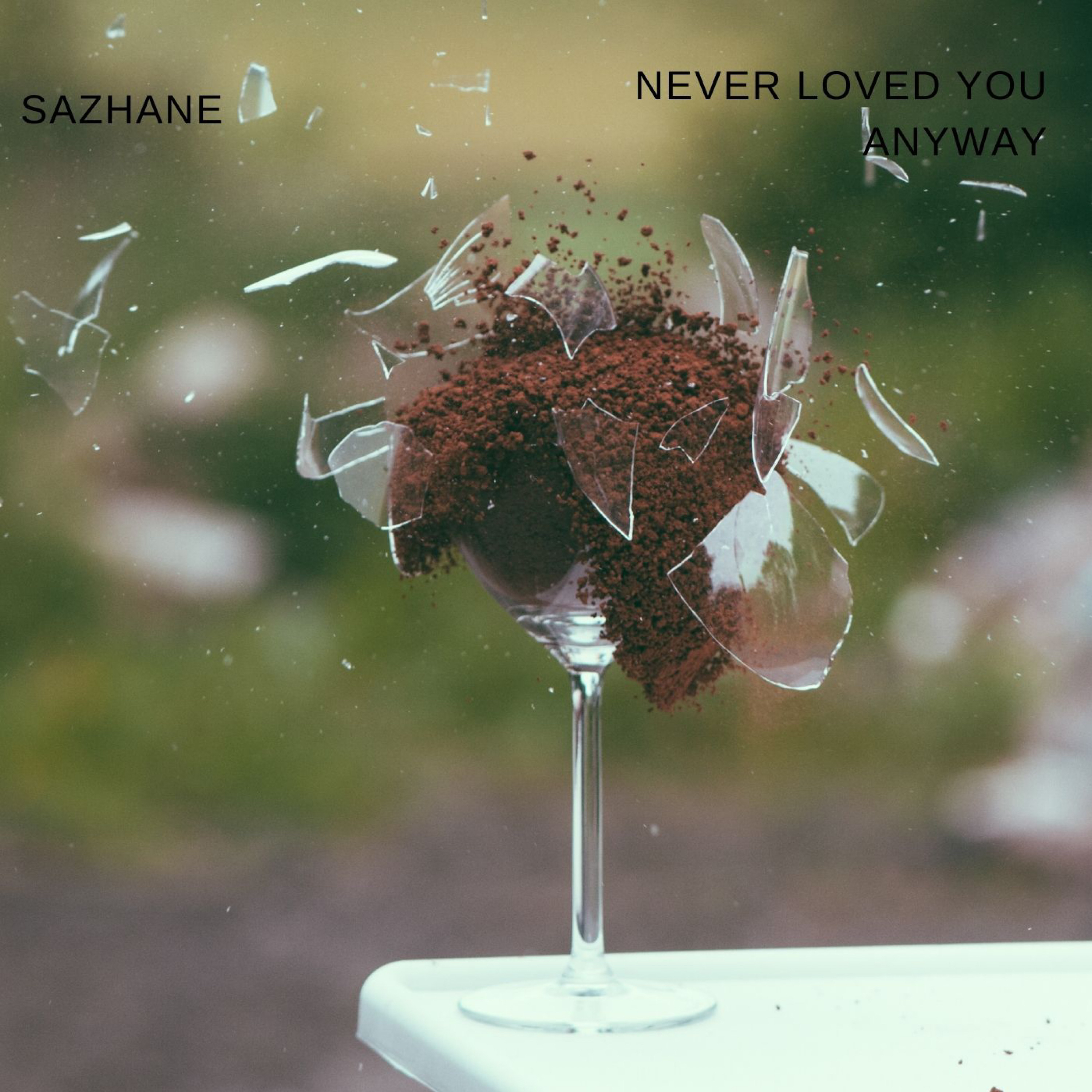 Never Loved You Anyway artwork