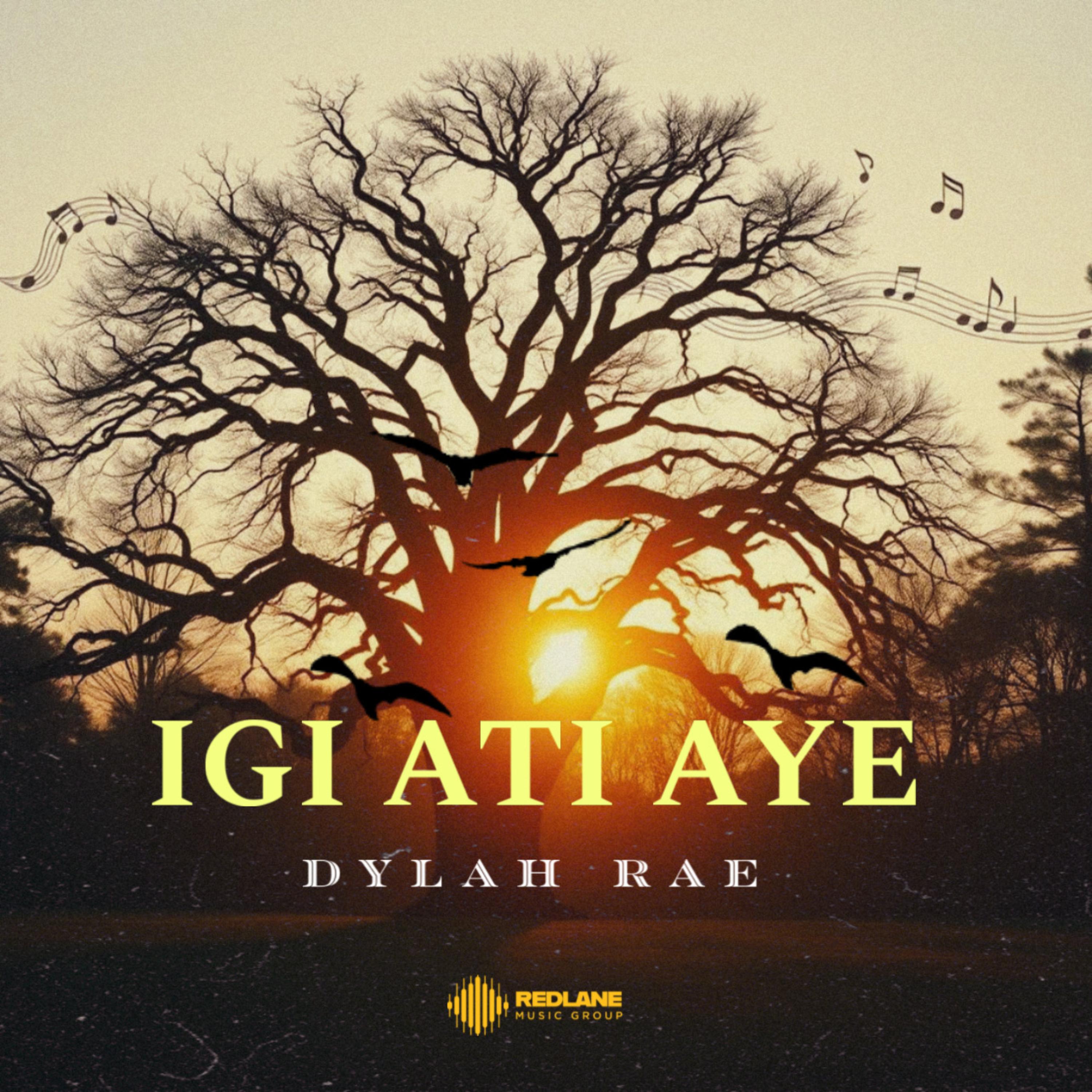 Igi Ati Aye artwork