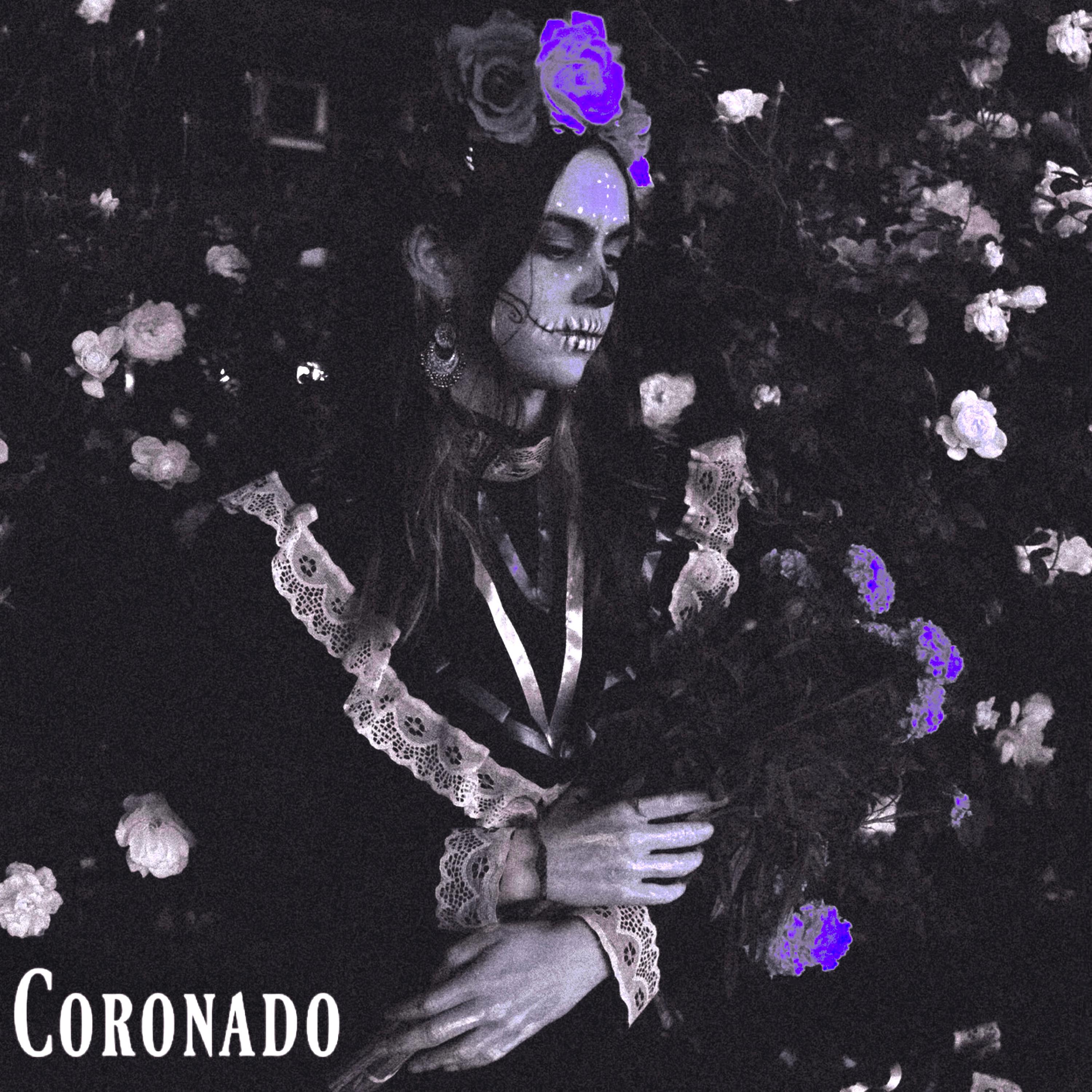 Coronado artwork