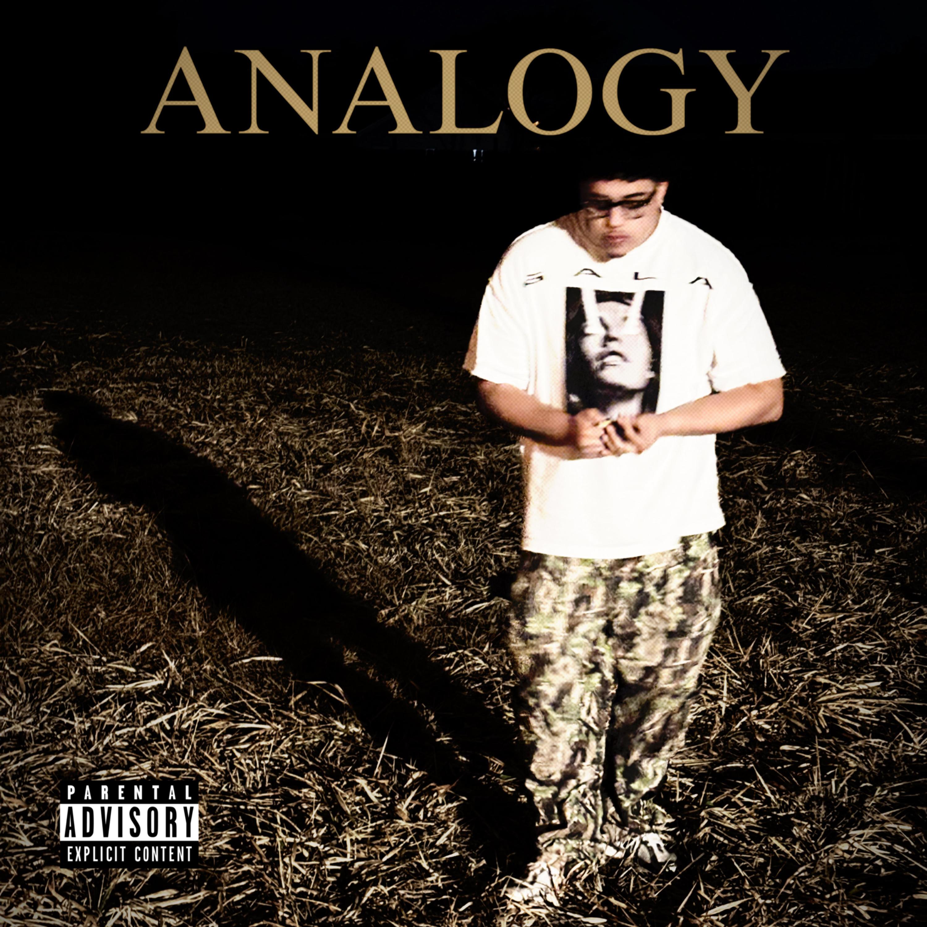 analogy artwork
