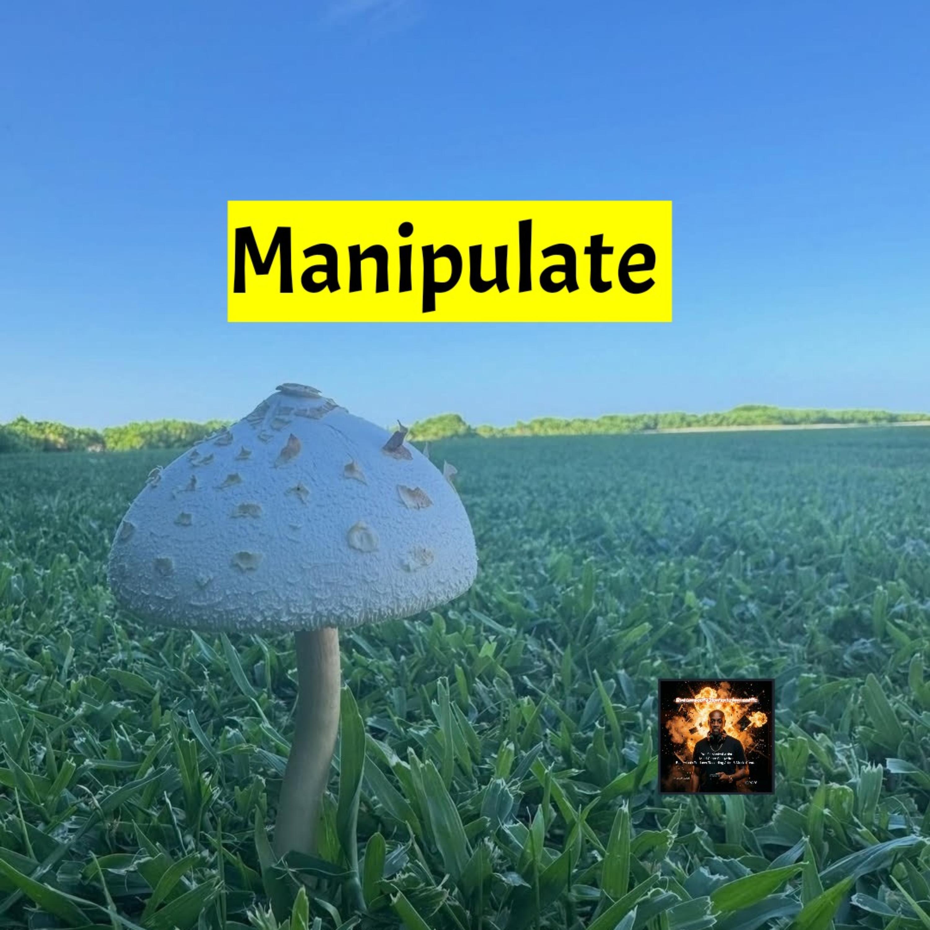 Manipulate by Brownsoul73 cover art