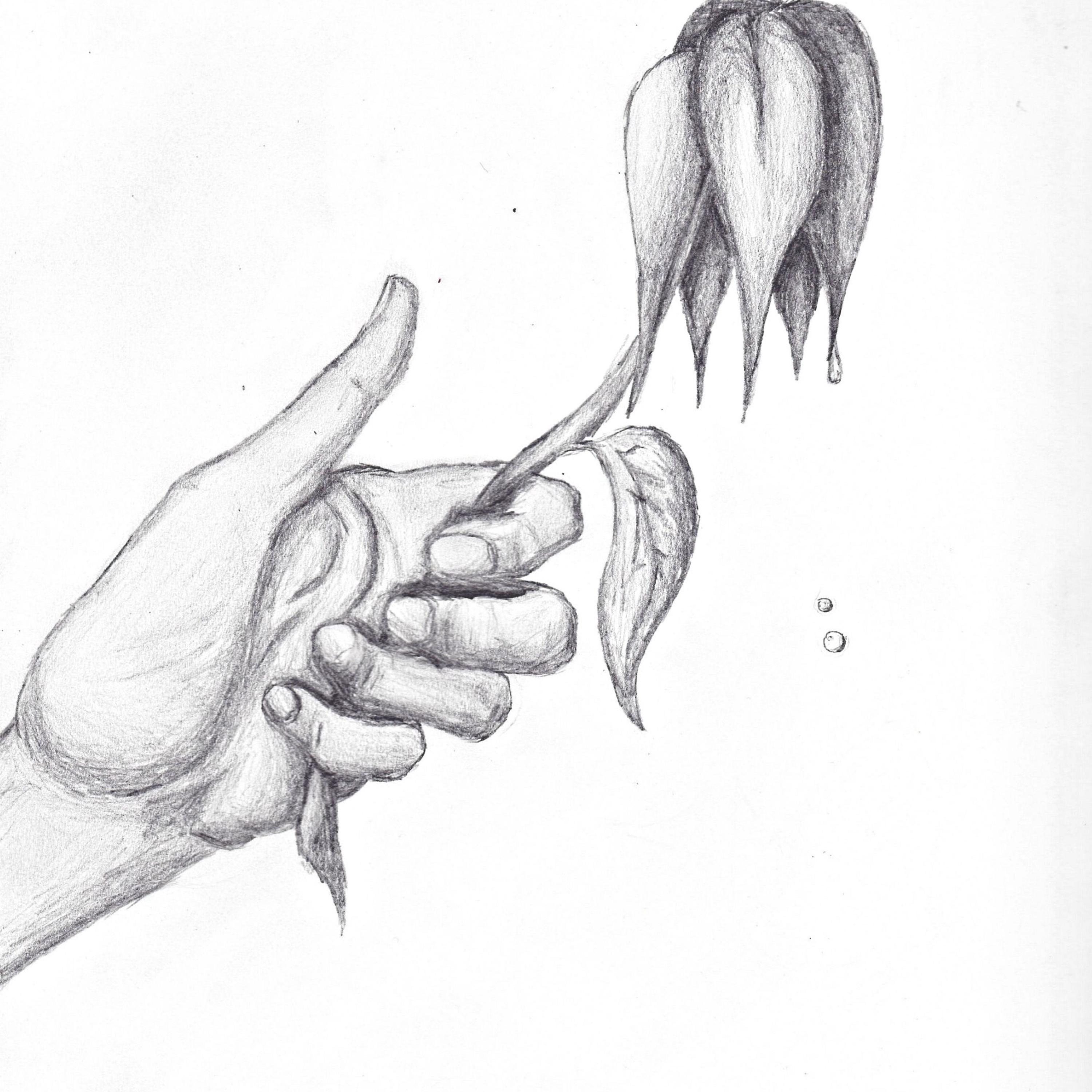 JULY 15th artwork