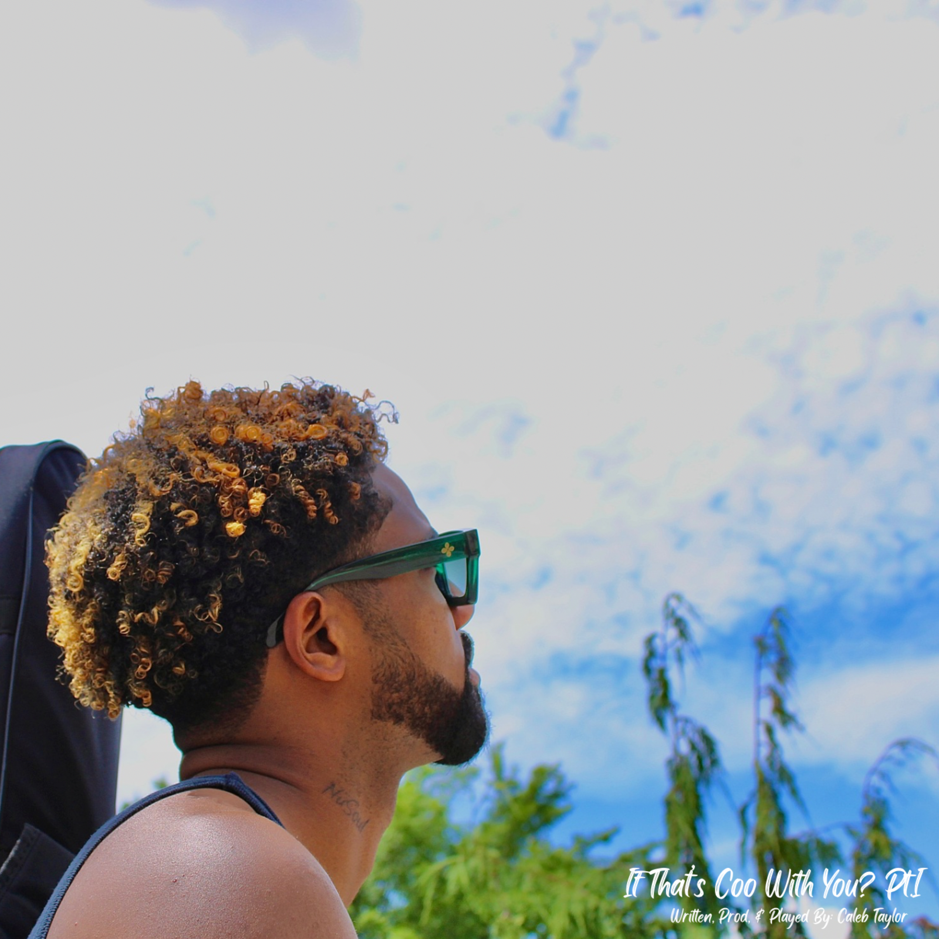 If That’s Coo With You? Pt.I artwork