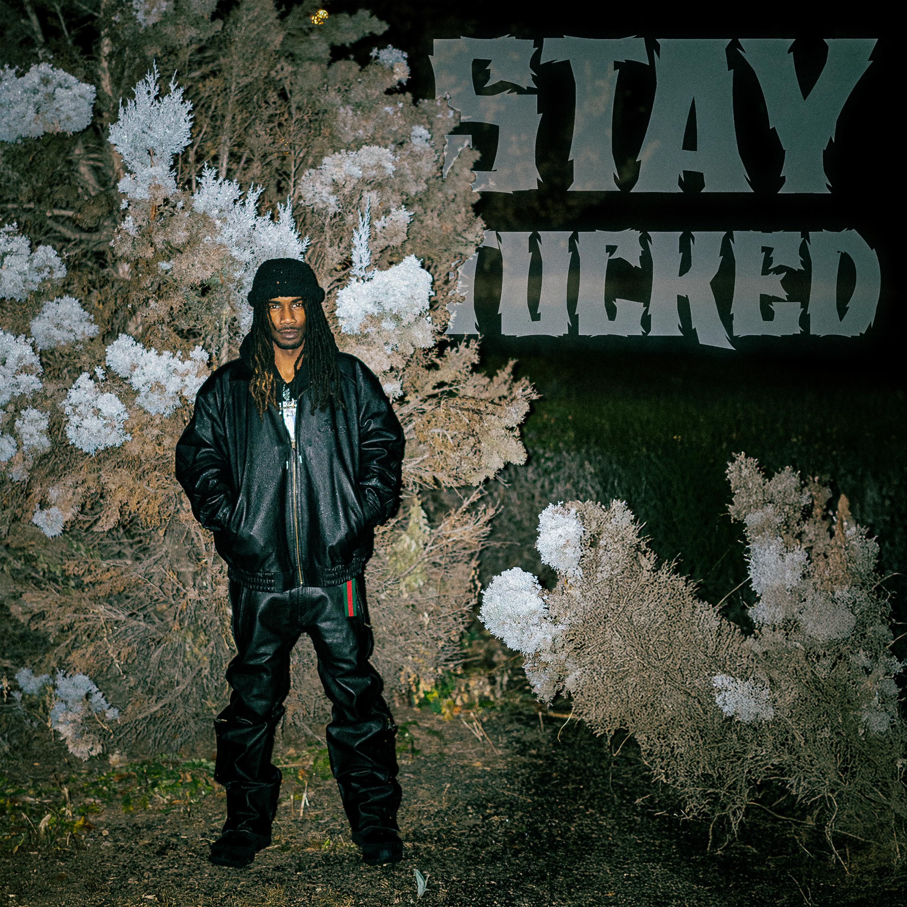 Stay Tucked artwork