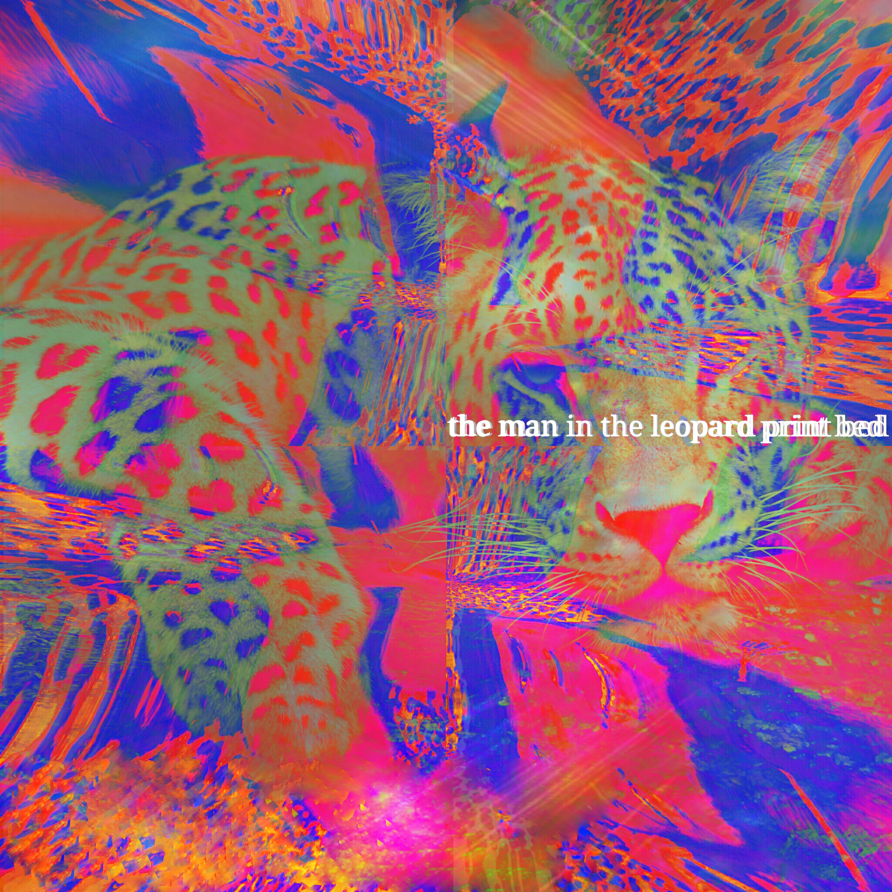 the man in the leopard print bed by ZVN cover art