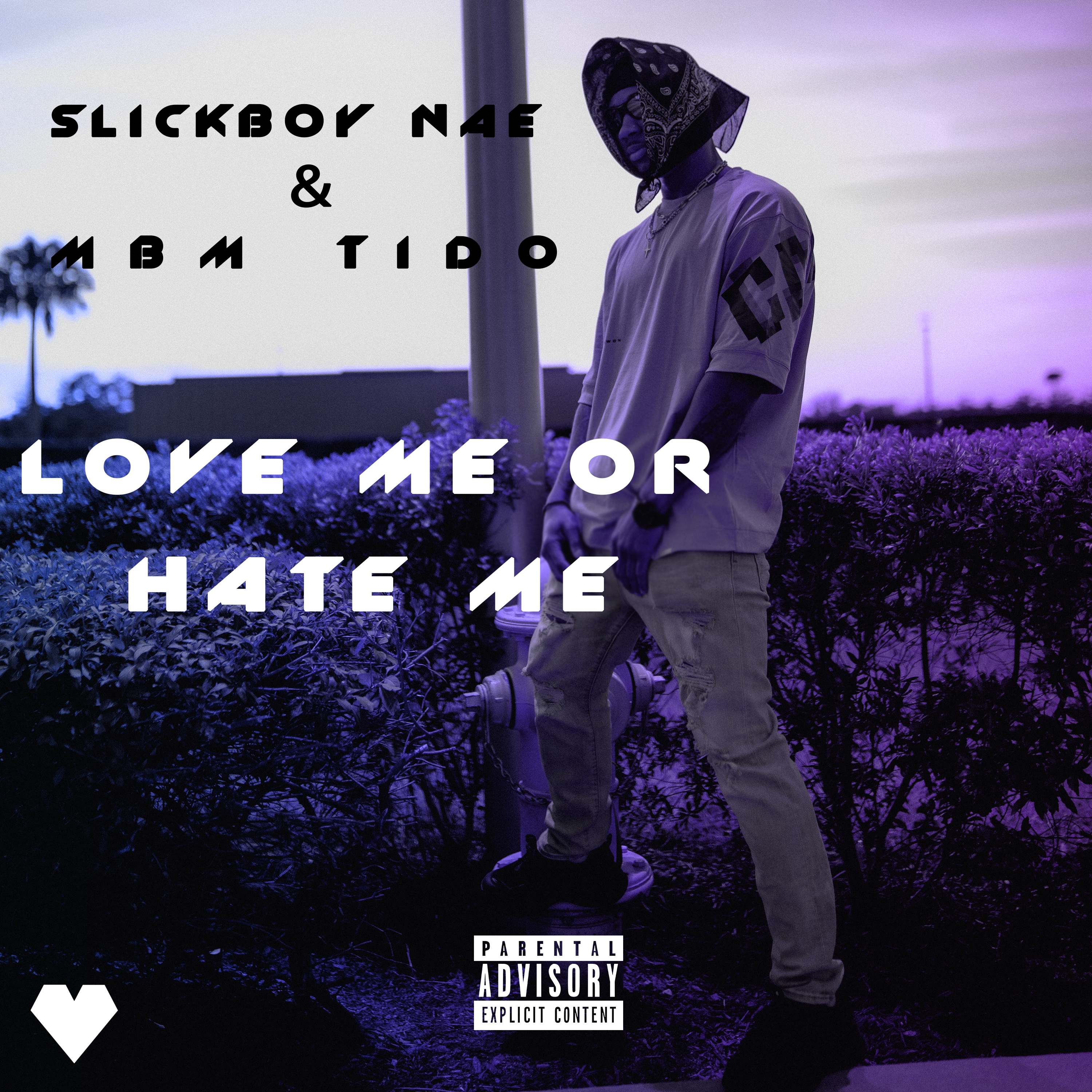 Love me or hate me artwork