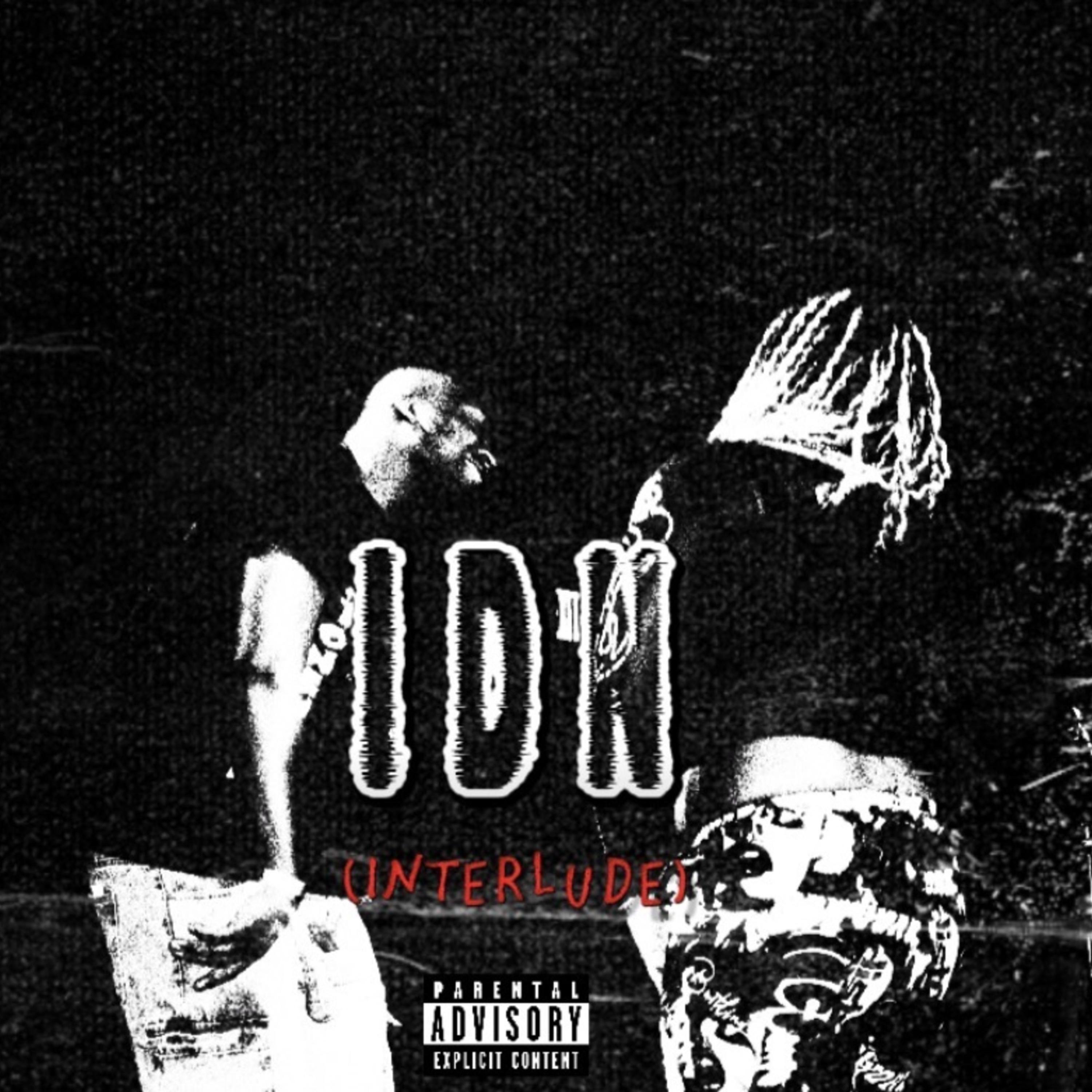 IDN (Interlude) by DD The Spektrum cover art