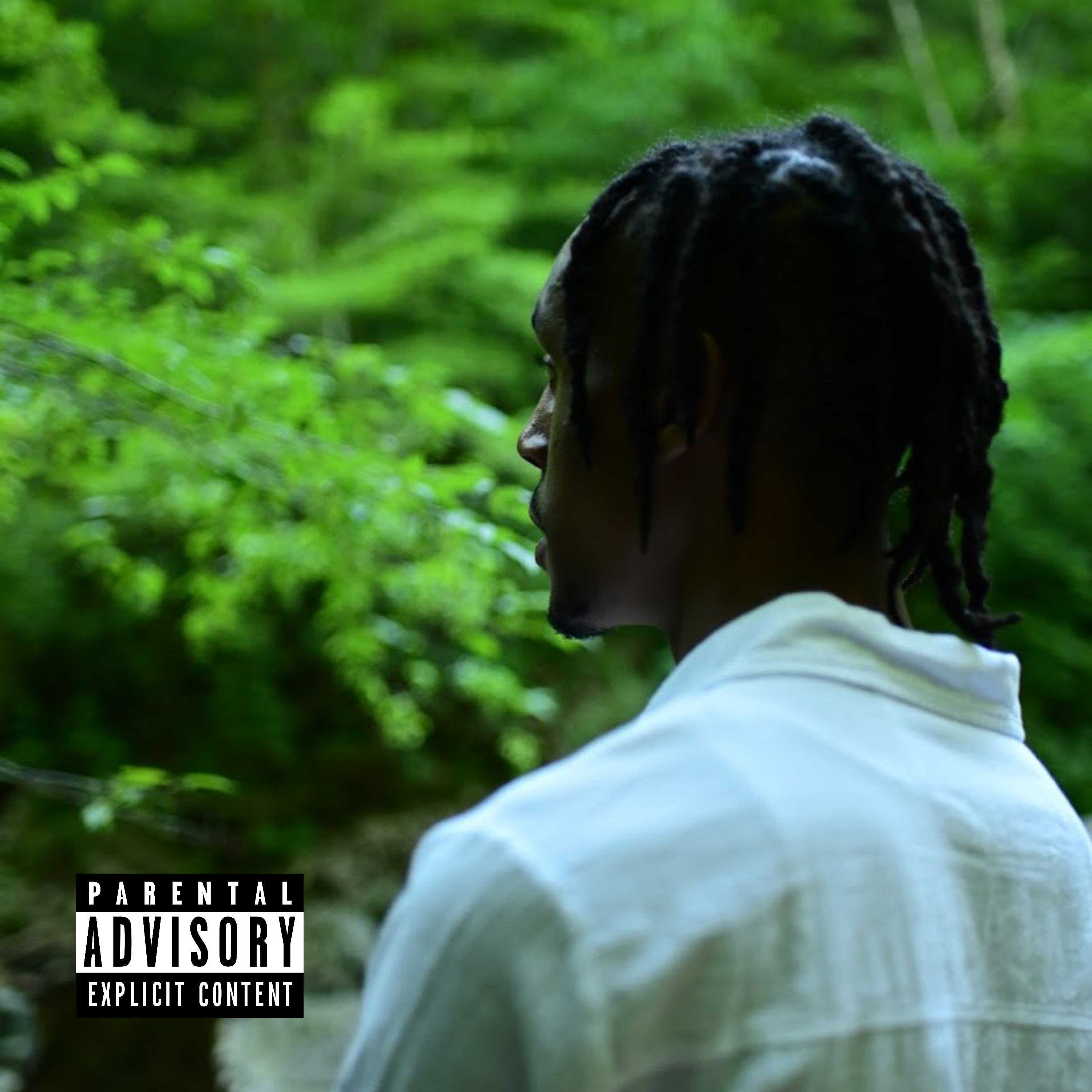 Freedom Freestyle artwork