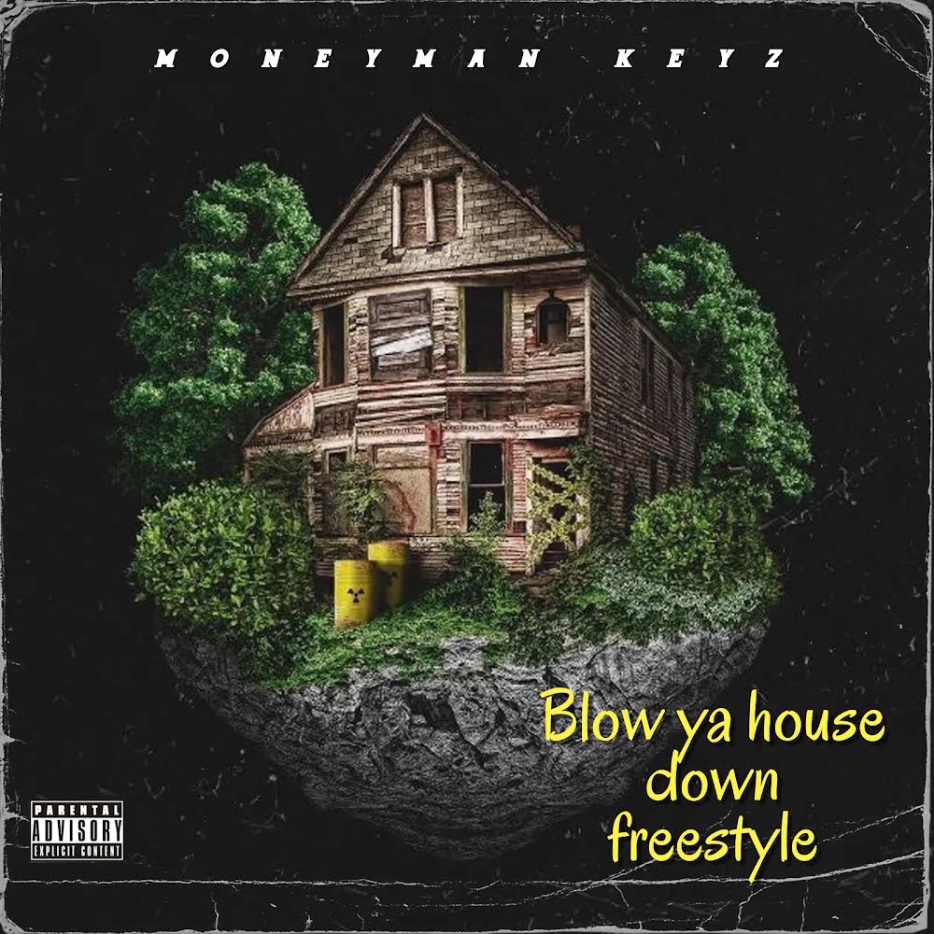 BLOW YA HOUSE DOWN FREESTYLE artwork