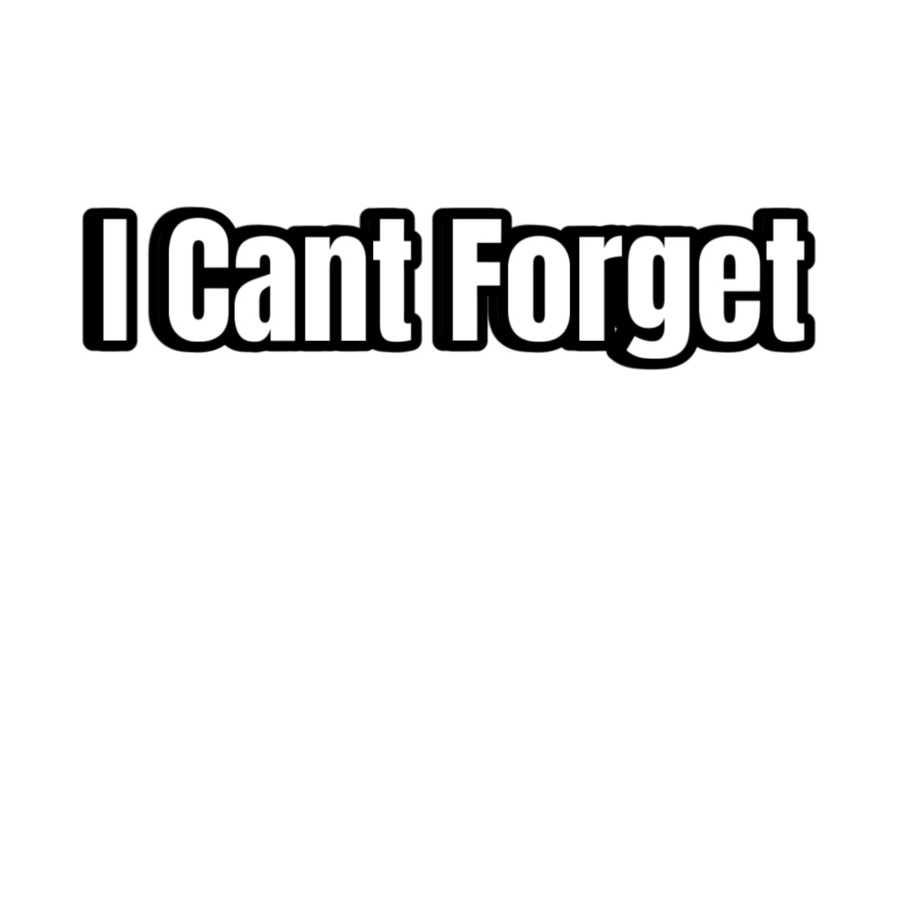 I Cant Forget (Acapella) artwork