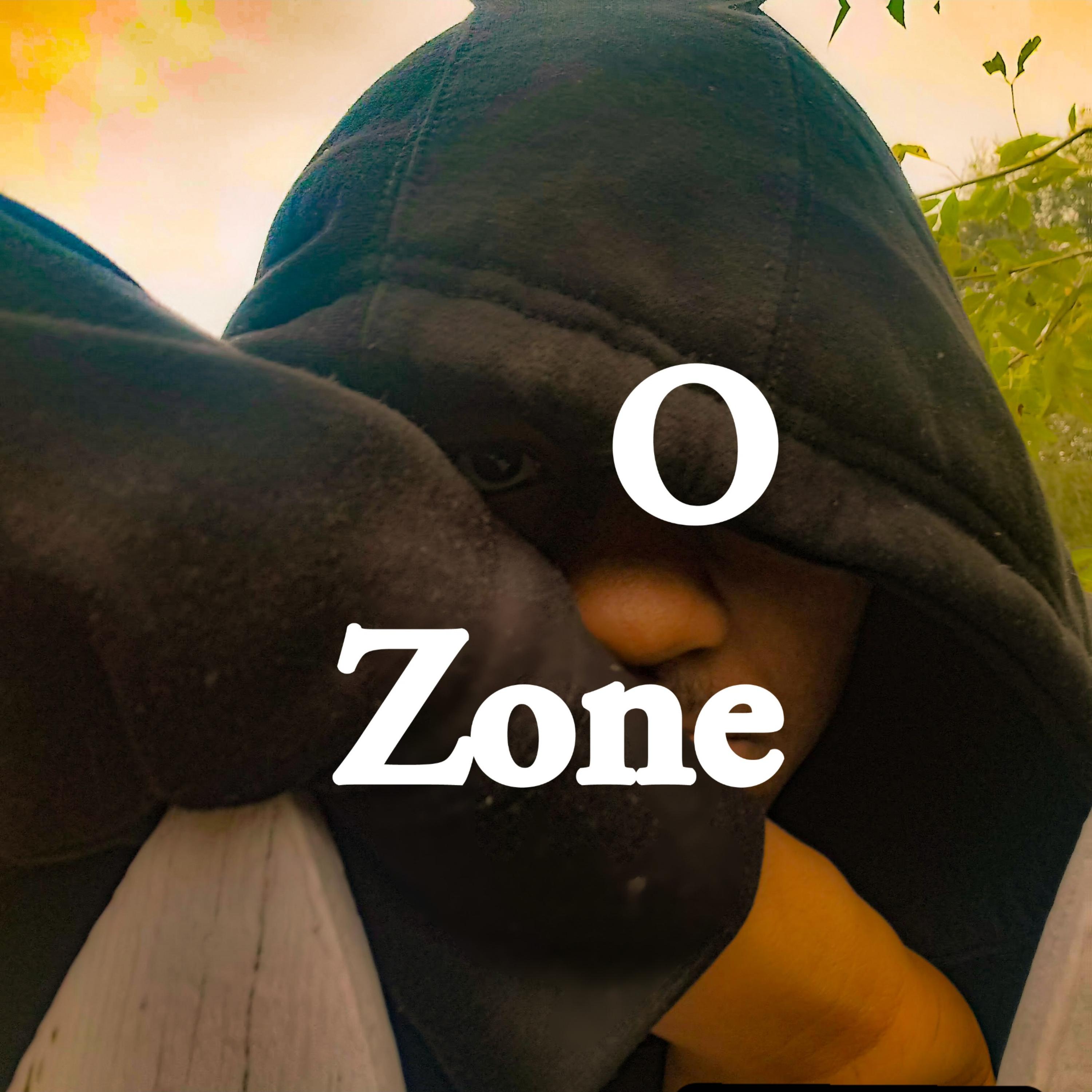 O Zone artwork