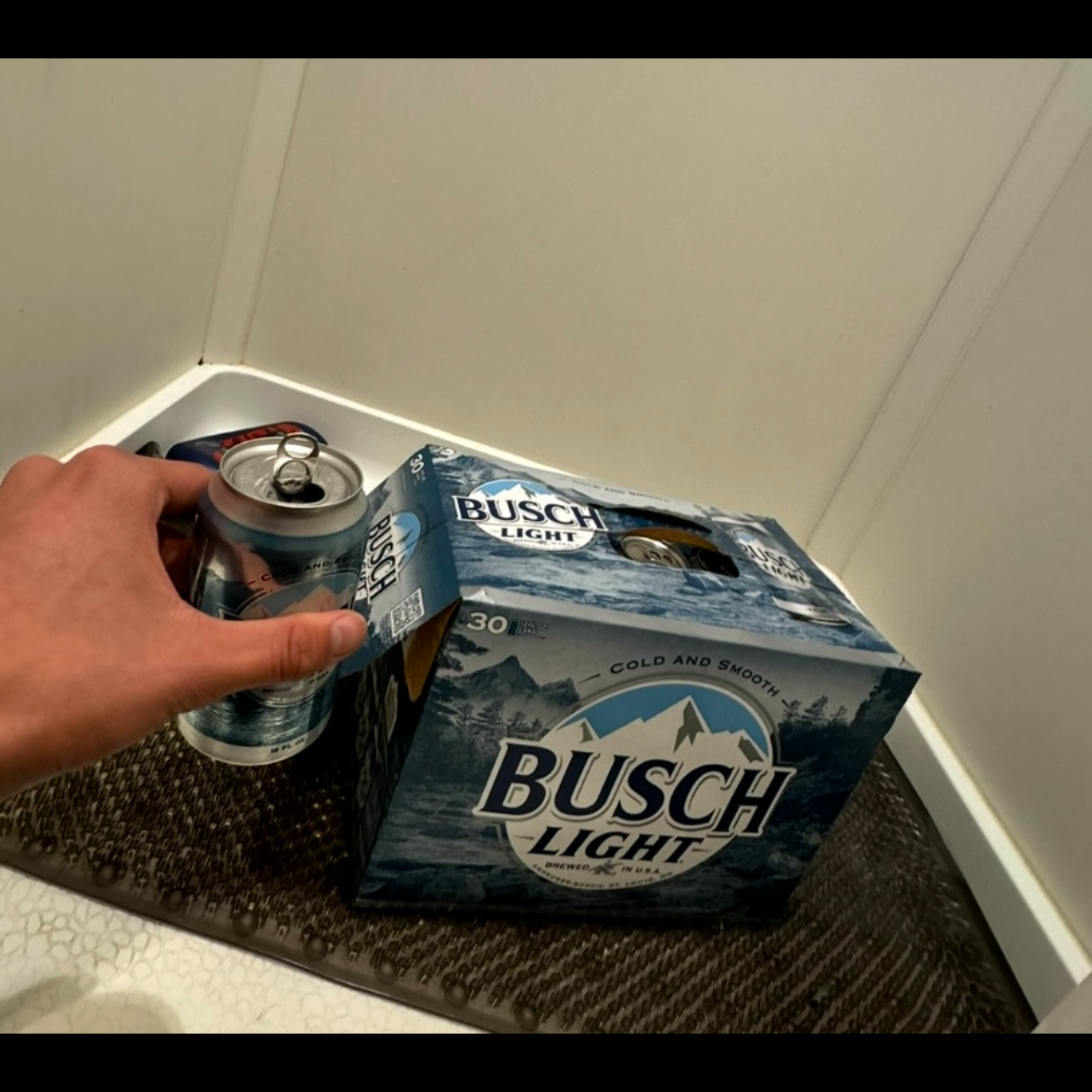 Busch Light artwork